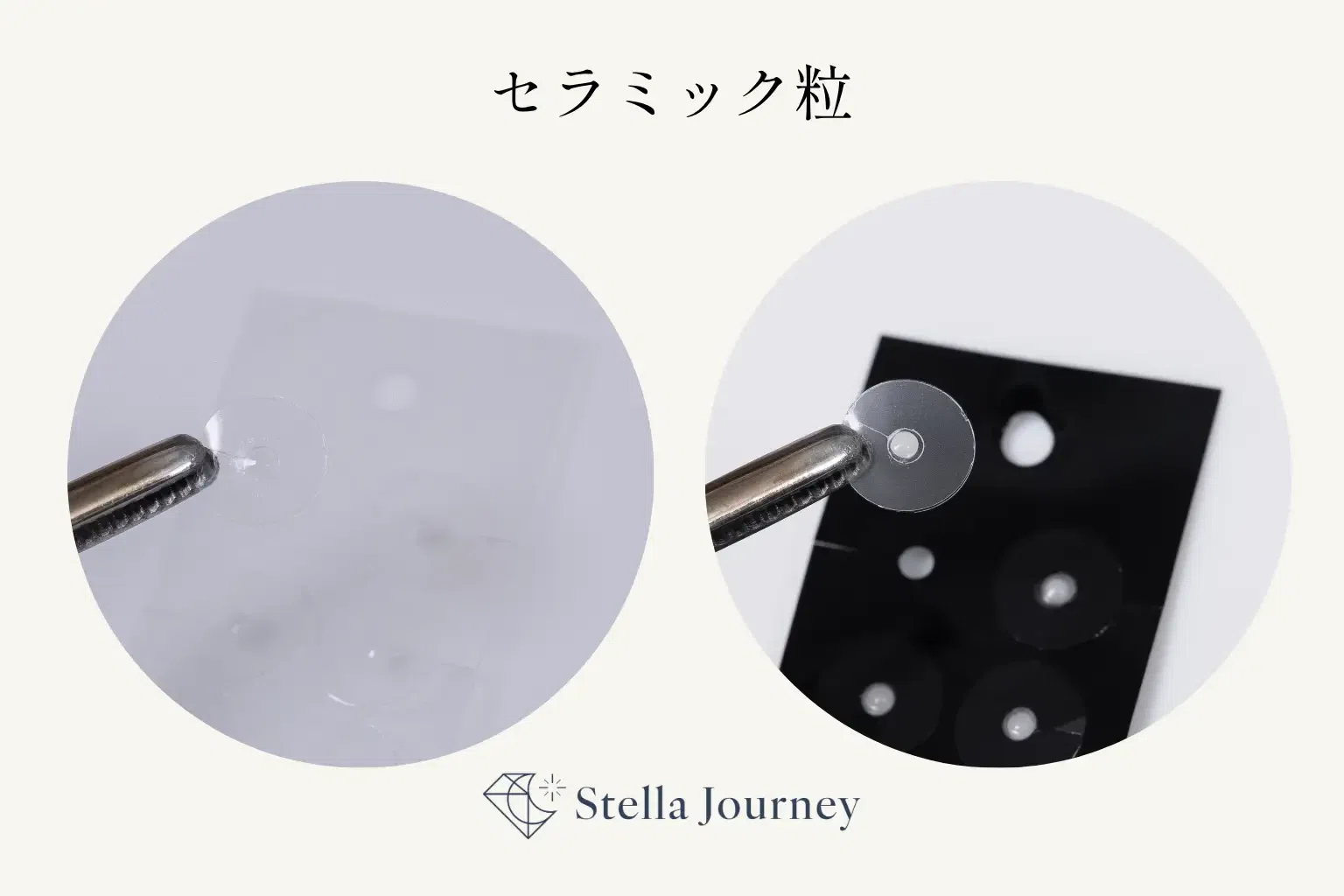 ピーシス様専用 チタン黒台紙 2000粒 耳つぼシール 健康用品