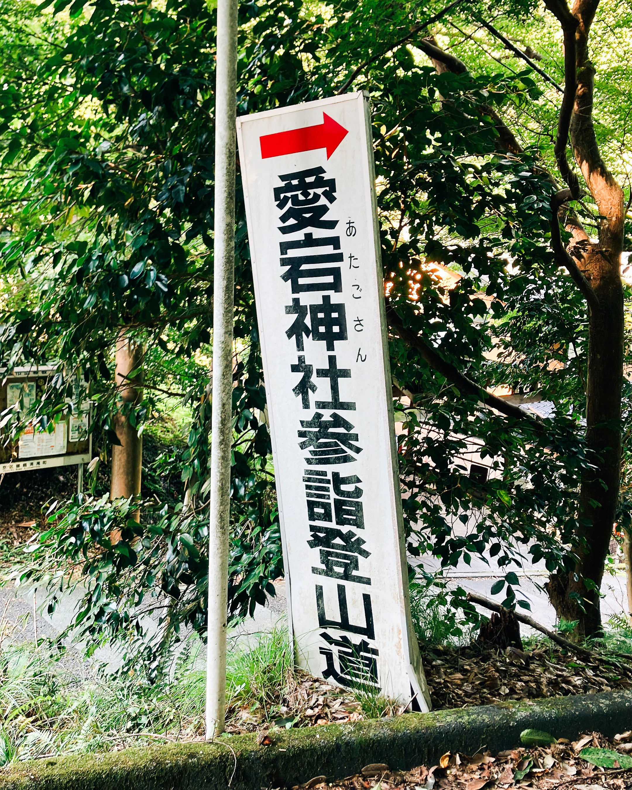大珍品 勅賜 天皇 愛宕山 白雲寺 太郎坊 愛宕太郎坊 愛宕山大権現 掛軸 修験 天狗行脚記「愛宕太郎坊」編 in京都｜天狗屋｜坂田吉祥