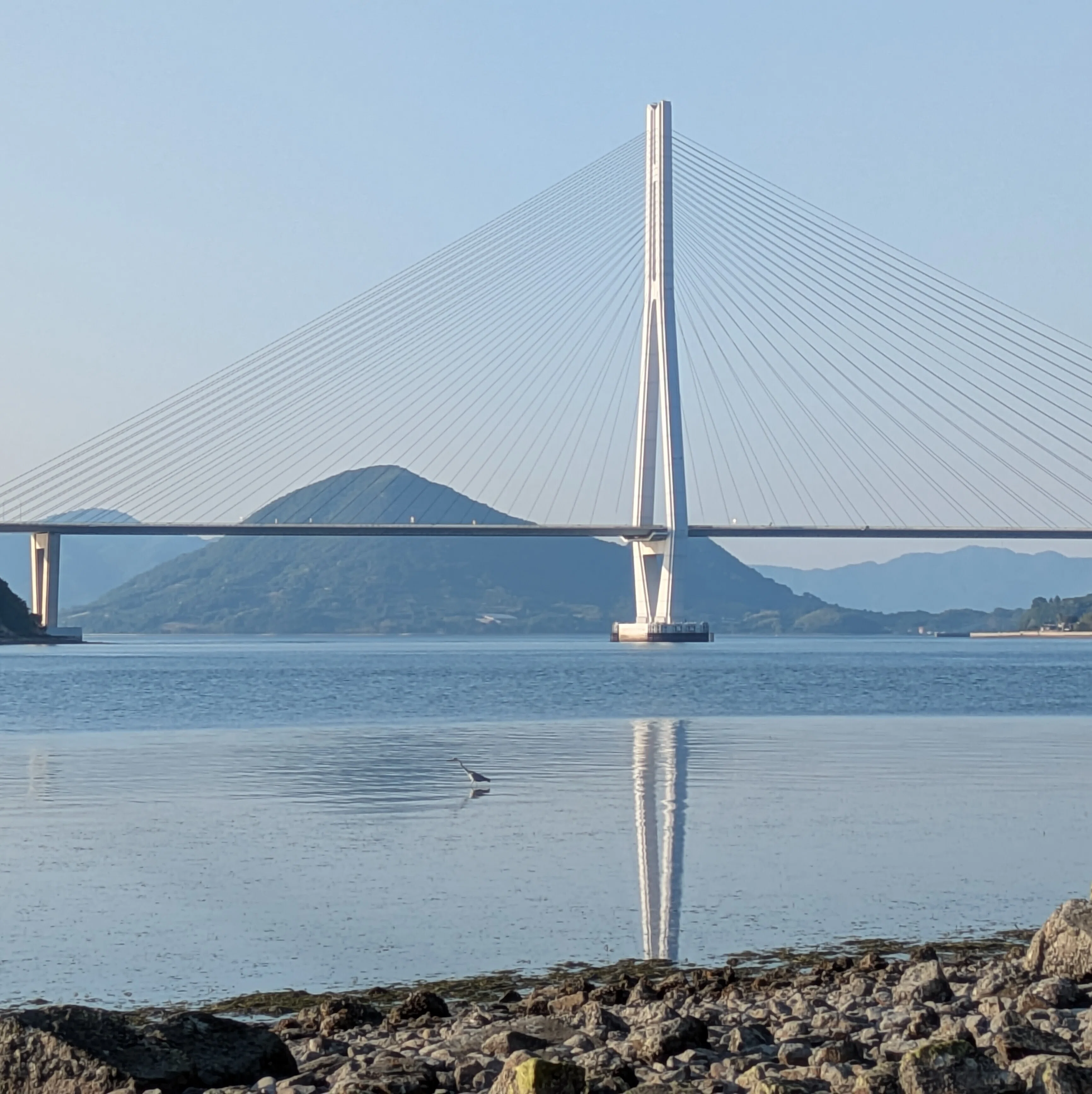 浜辺 The Day the Sea Parts to Reveal a Path to Japan's Oldest Sea