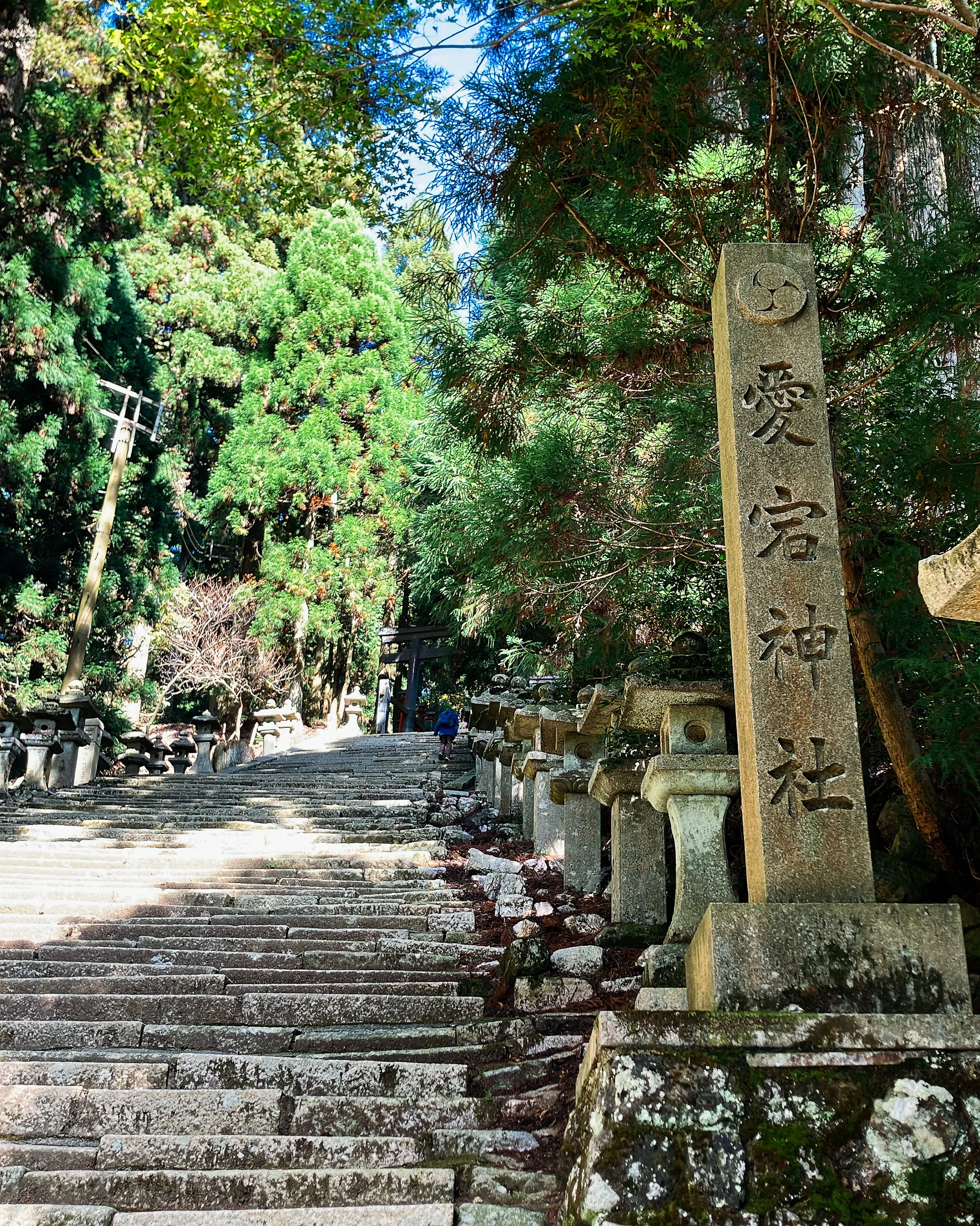 天狗行脚記「愛宕太郎坊」編 in京都｜遠州天狗屋｜坂田吉祥