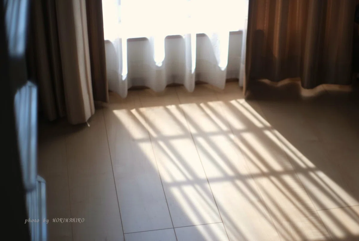 朝のやわらかなカーテン越しの光