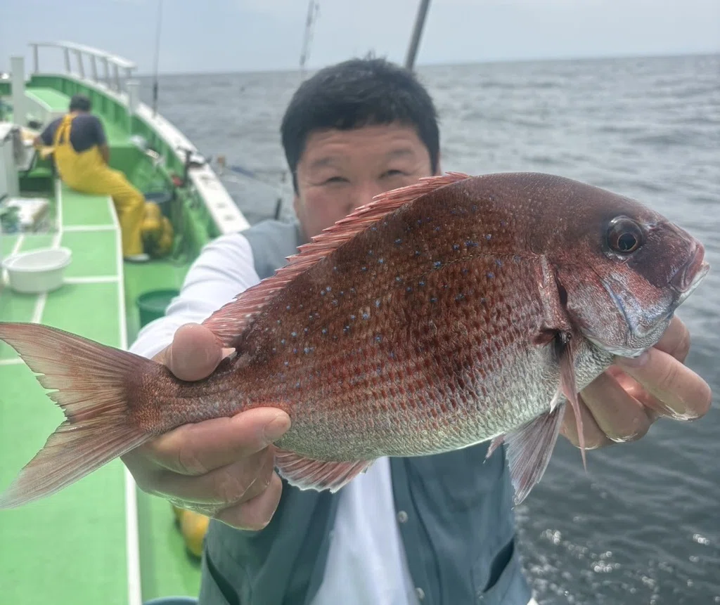 泳がせ】大ブリ6.4kg、6.1＆大型ワラサ5.6kg、5.1kg！さらに大ヒラメ