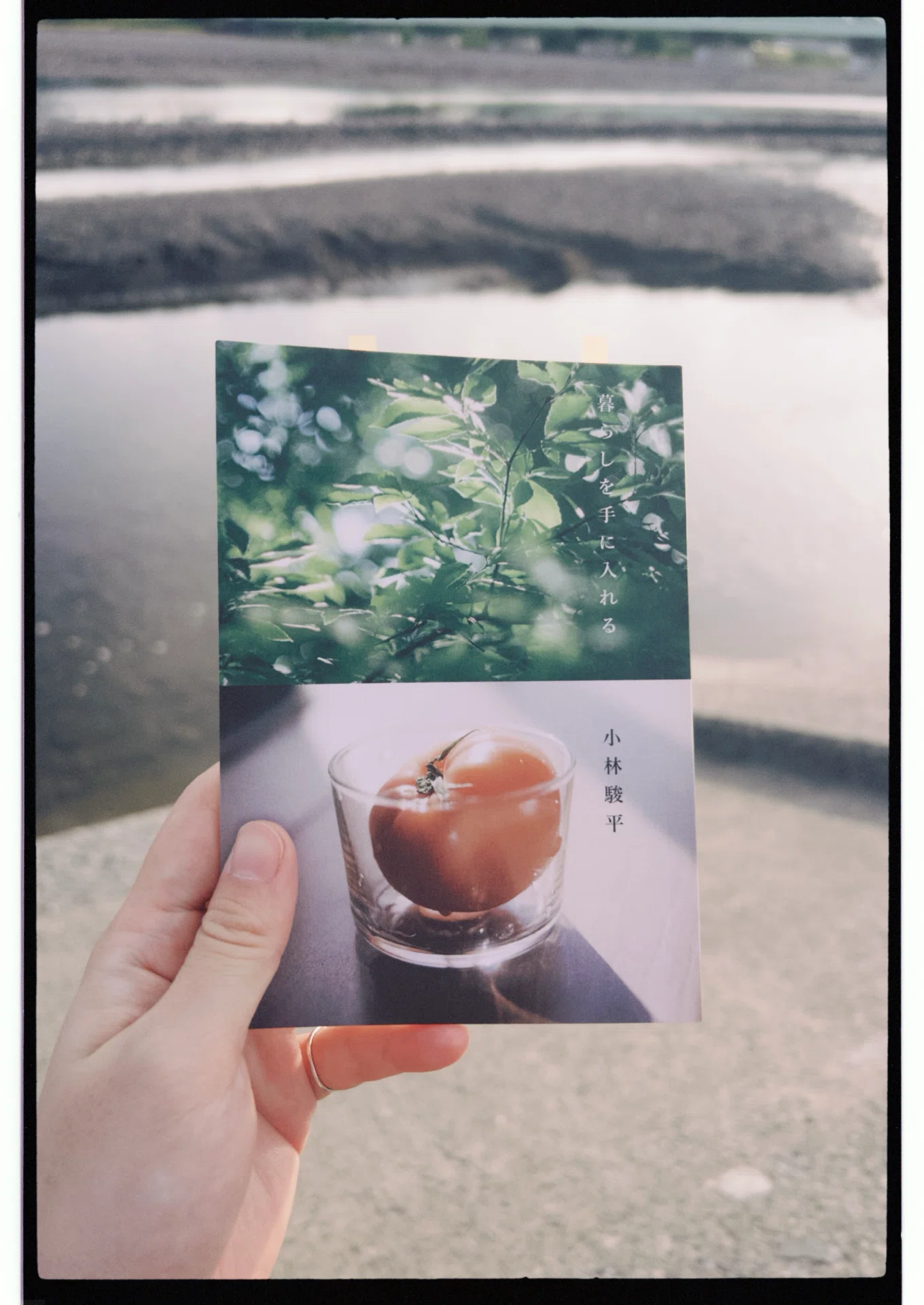 文フリに行ってきました｜すず