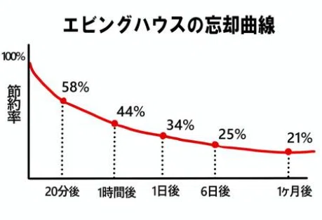 1日で74%忘れるは嘘の情報！？【エビングハウスの忘却曲線について】｜halon(はろん)