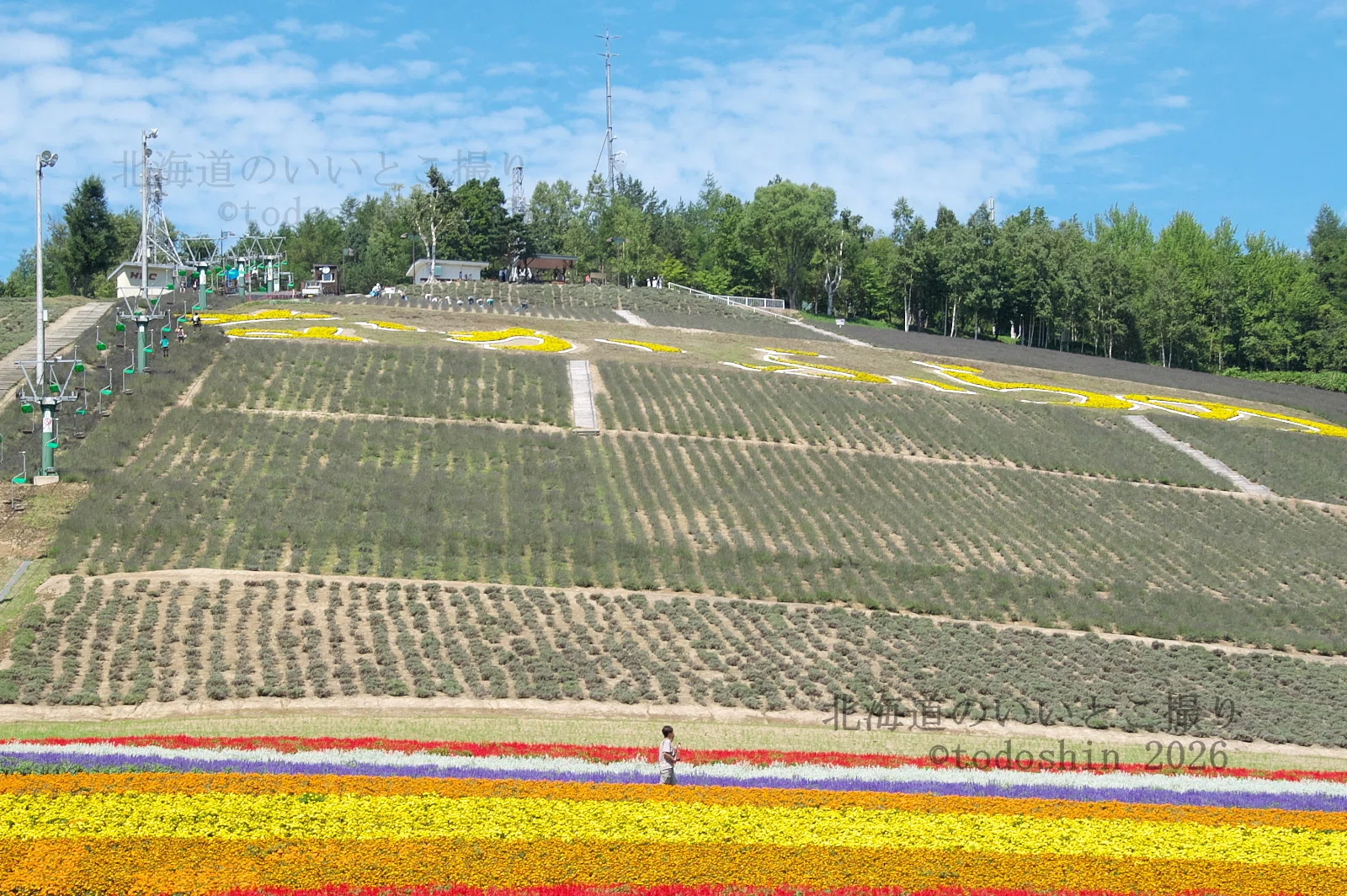 中富良野町営ラベンダー園 2007年8月｜todoshin