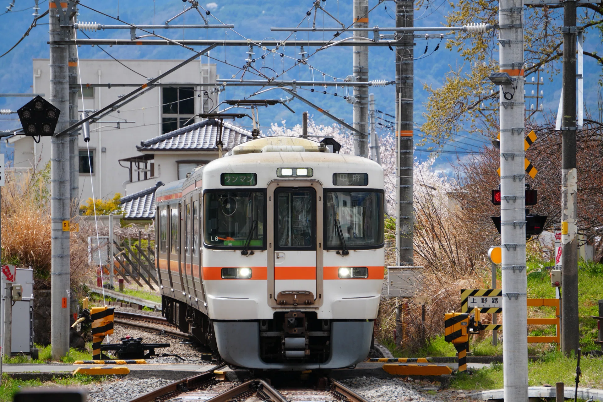 静岡地区の313系｜海新シス