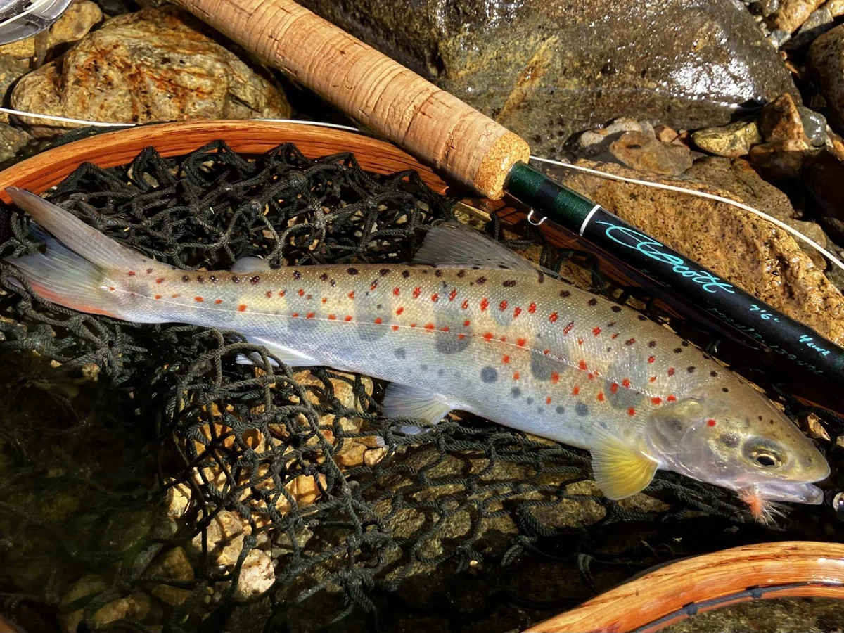 26.05.17フライフィッシング｜丁川｜Fly Fisher K
