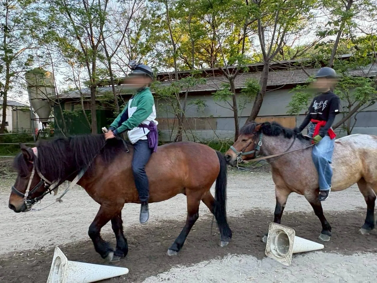 乗馬をかじってる人間が流鏑馬に行ってきた話 ①漆塗りの和鞍と手綱 
