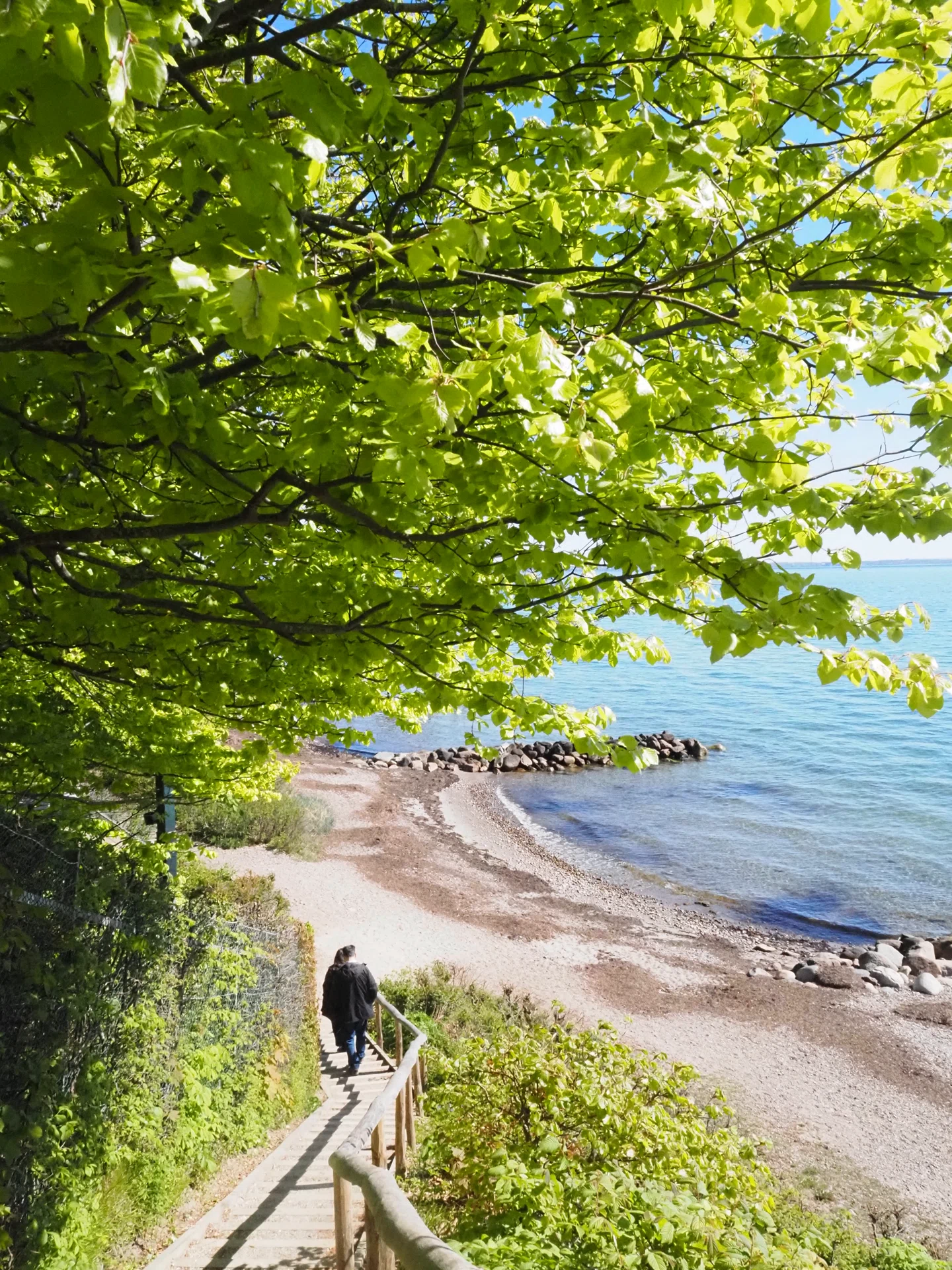 🇫🇮131日目 | デンマーク旅行2｜こうすけ