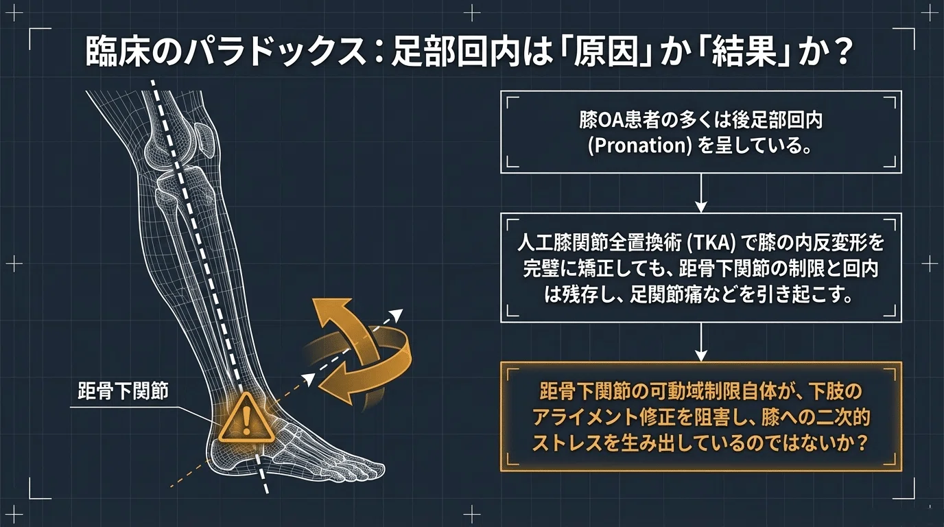 歩行の鍵は足元にあり：距骨下関節の可動域制限が膝関節に与える影響と