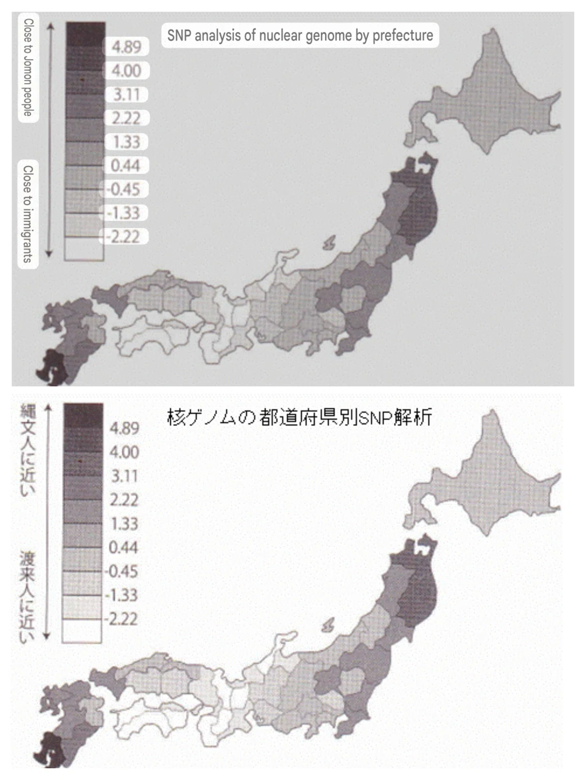 Japan DNA map(日本の遺伝子地図)2026/5/20 ｜まぃ