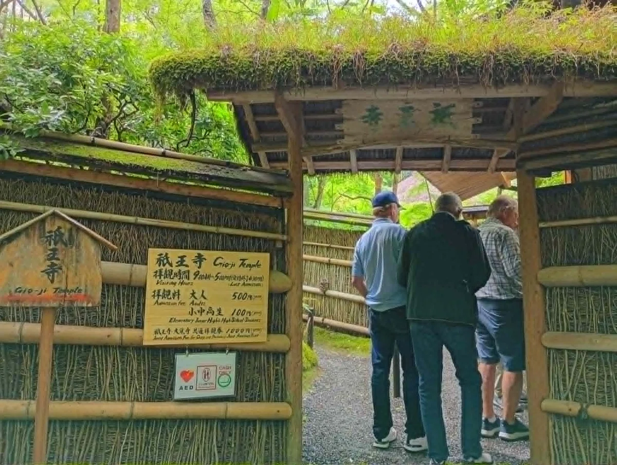 祇王寺を案内|竹林と苔庭が織りなす静寂の空間へ|雅京都観光