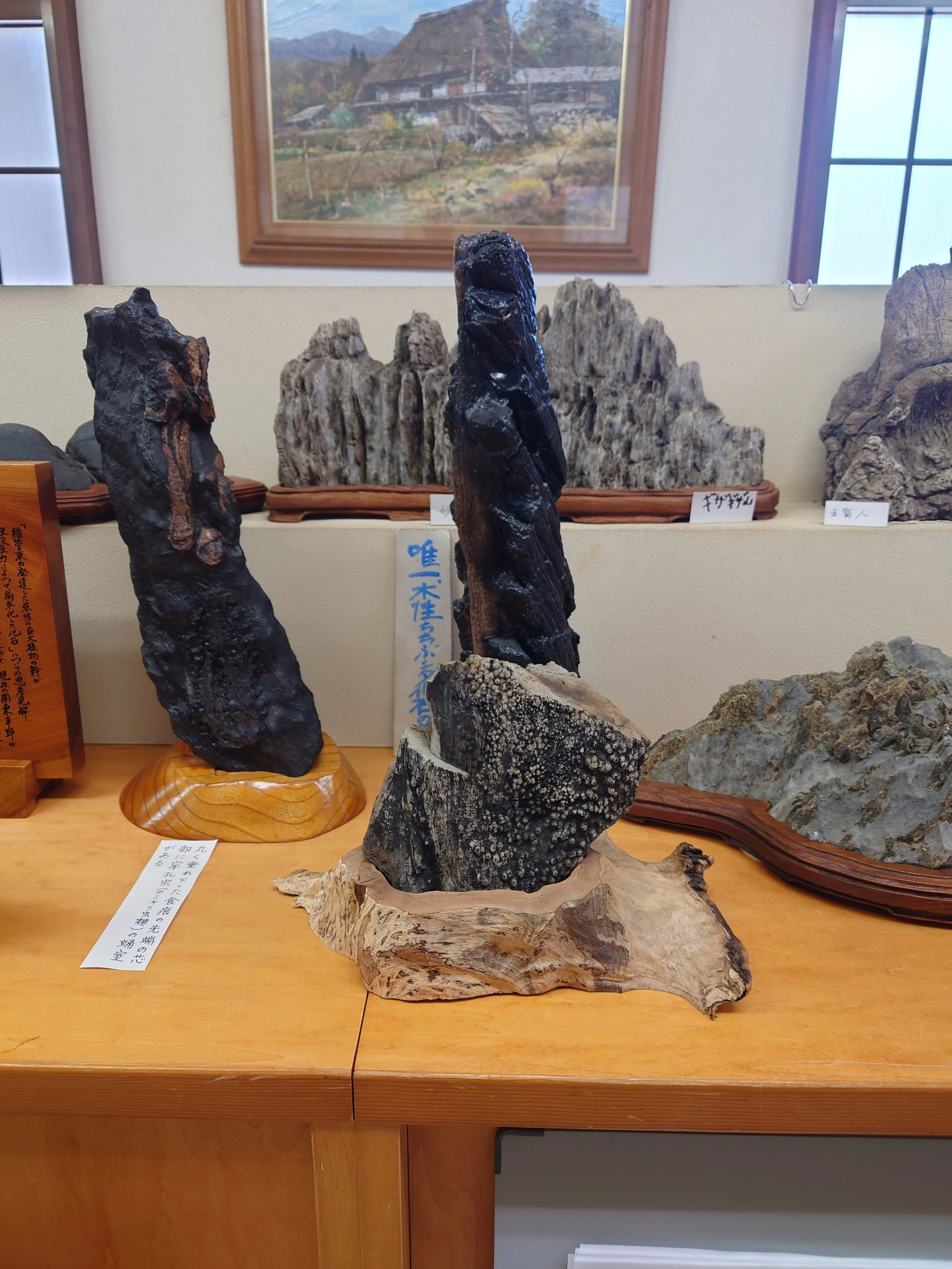 秩父〜長瀞旅行】①秩父珍石館が最高だった｜青島早希