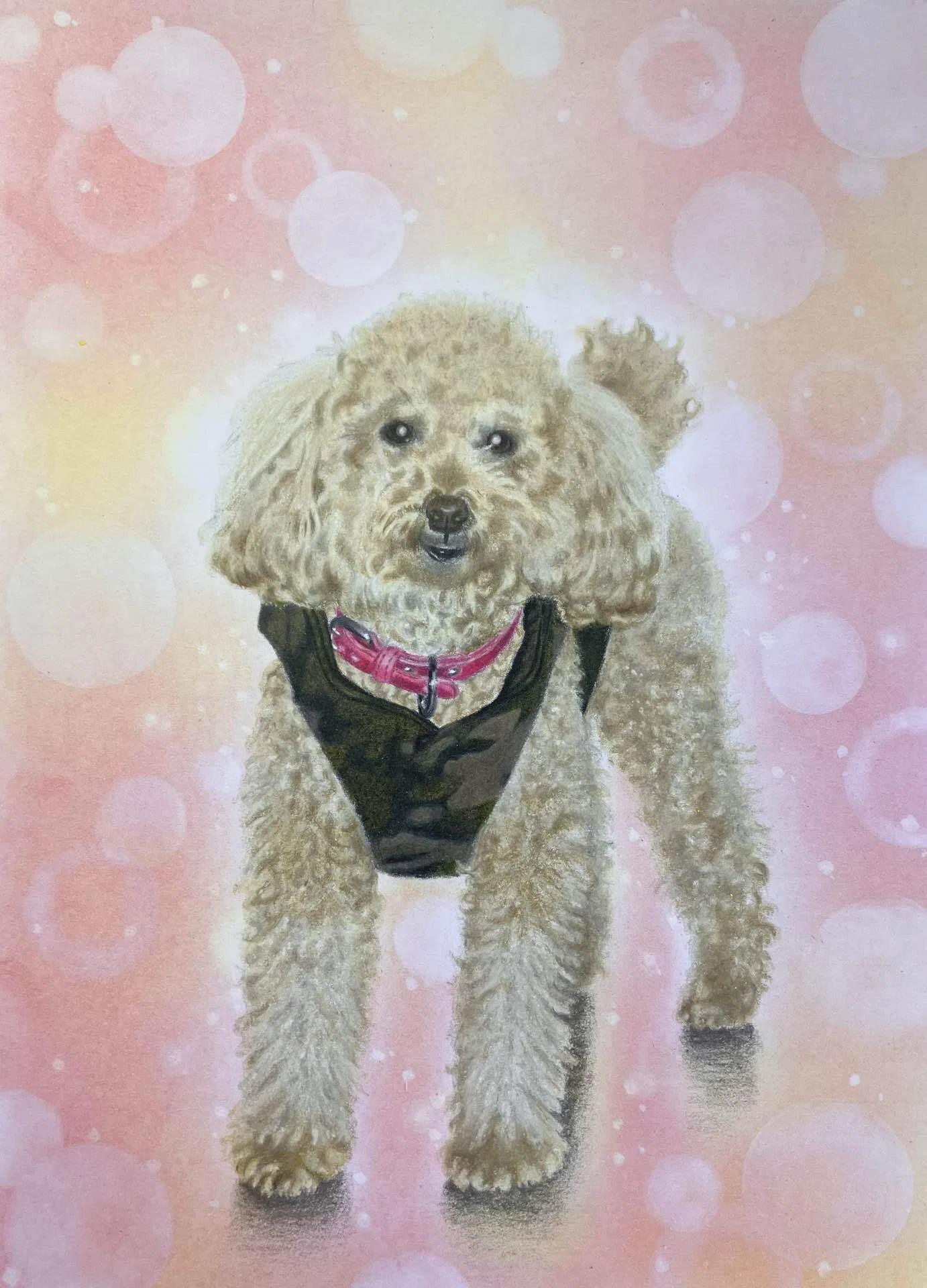 色鉛筆画作品⑤プードルのボルト君🐩｜gummychokonote