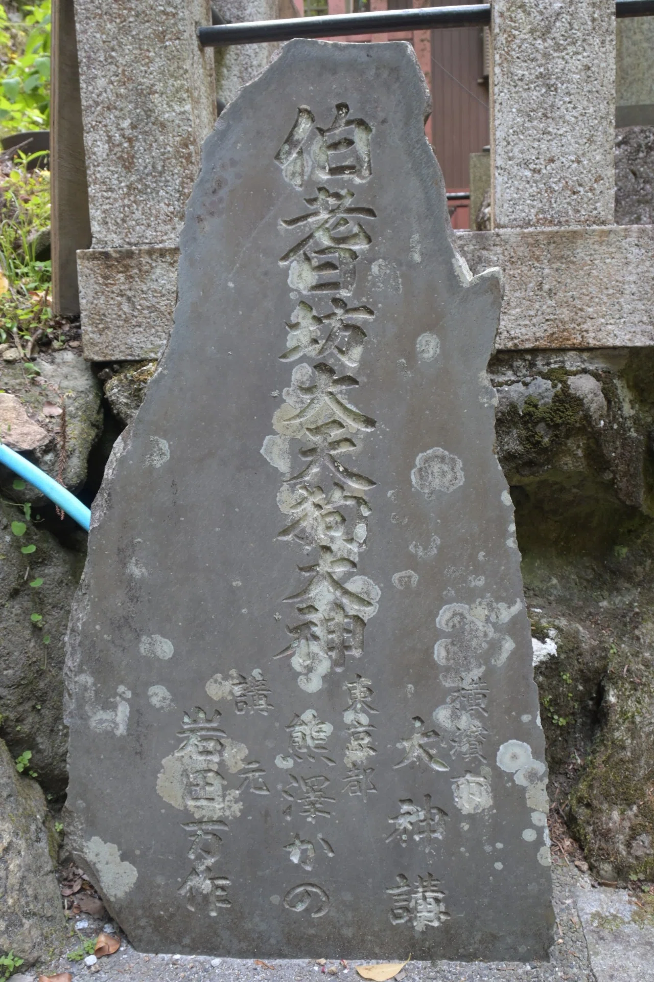 相模大山へ天狗に会いにゆく｜小池 隆