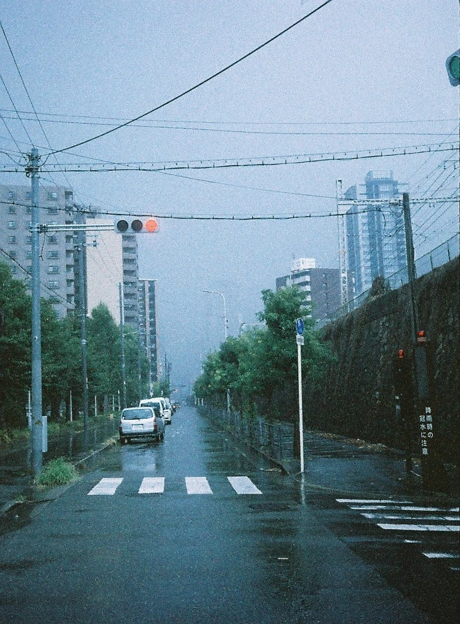 めちゃイケ 現像見本の写真とフィルムセットたくさん ナインティナイン めちゃイケ 現像見本の写真とフィルムセットたくさん ナインティナイン