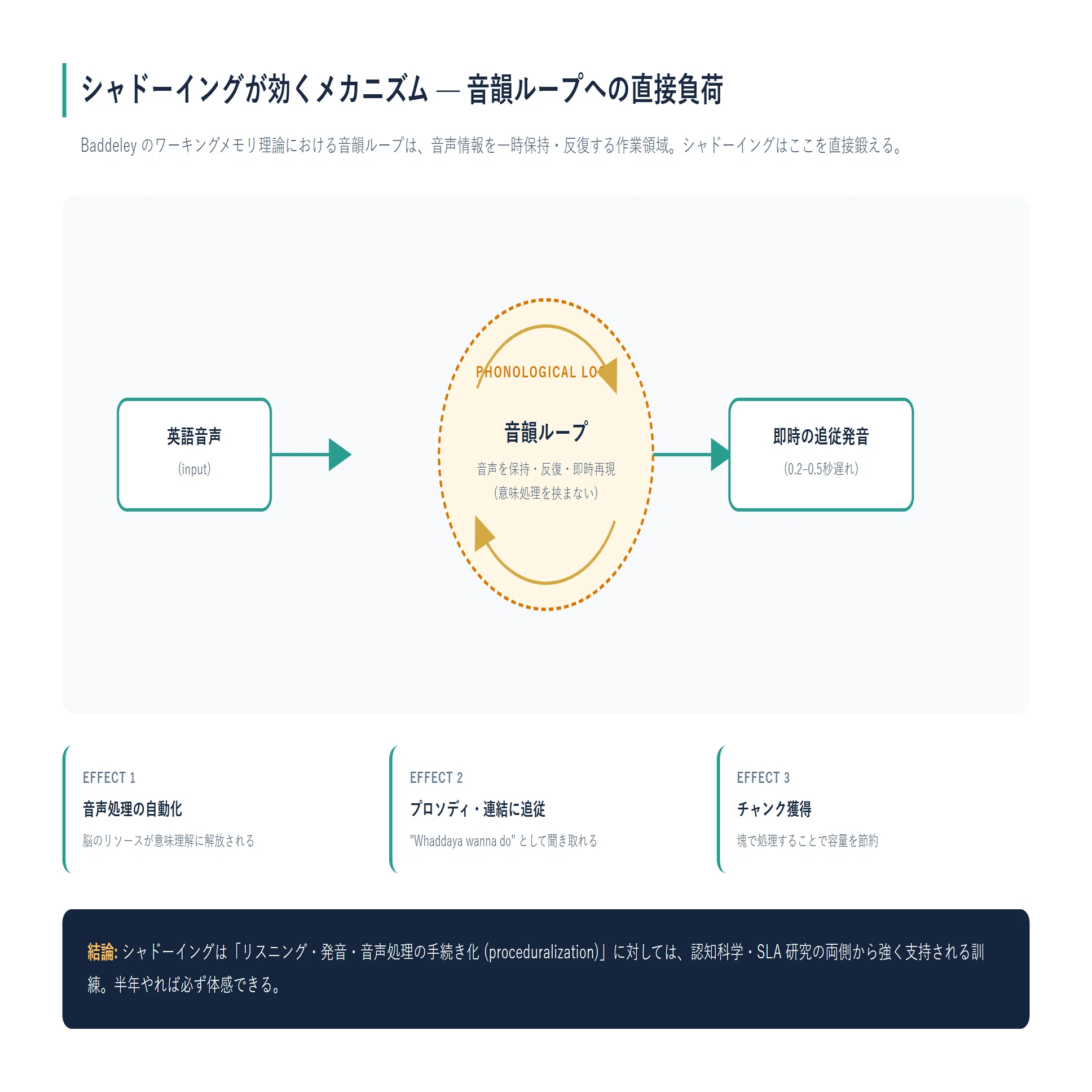 シャドーイングを半年やってわかった「効くこと」と「効かないこと