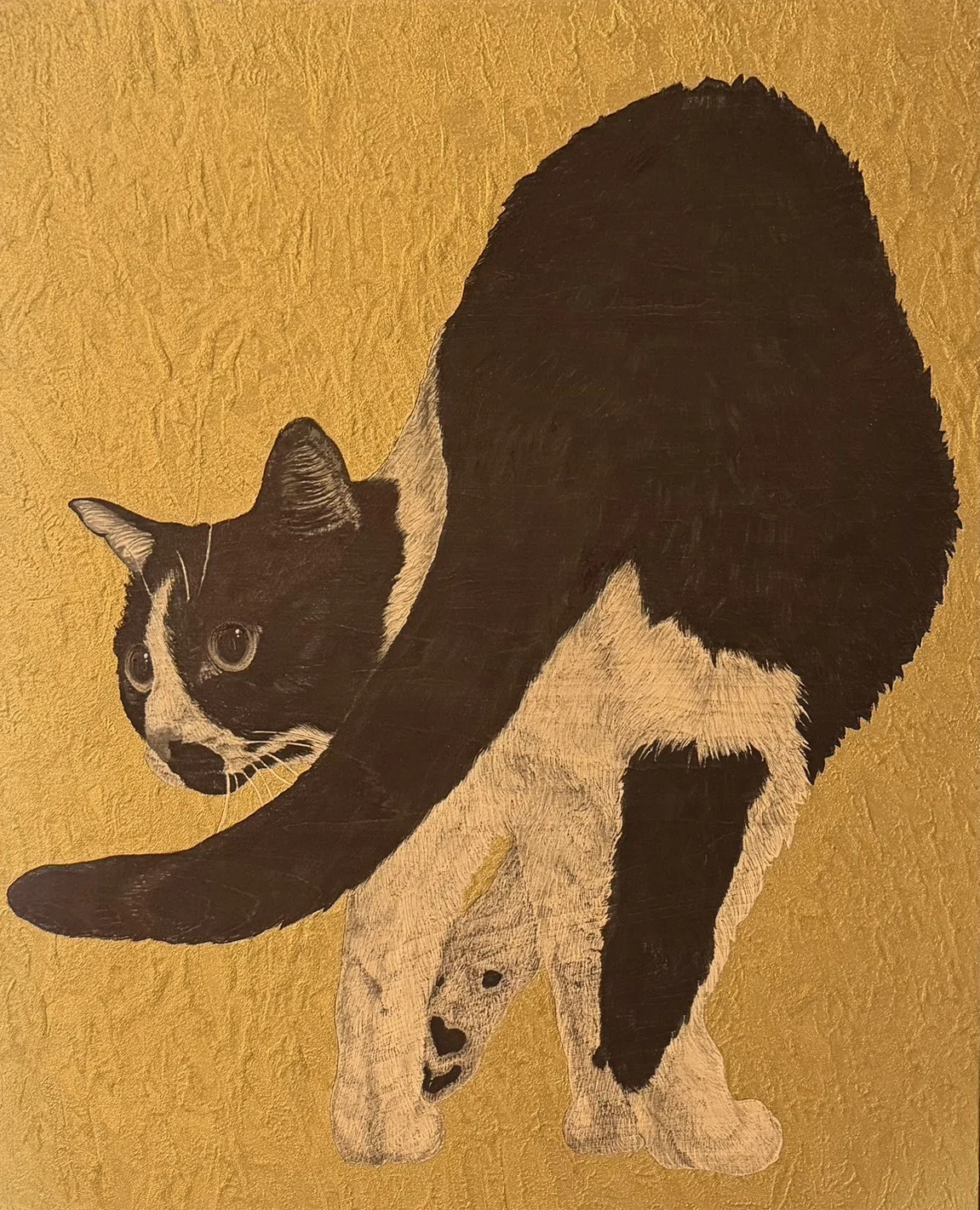 今週の猫】 Cat of the Week 2026/5/20｜山田貴裕