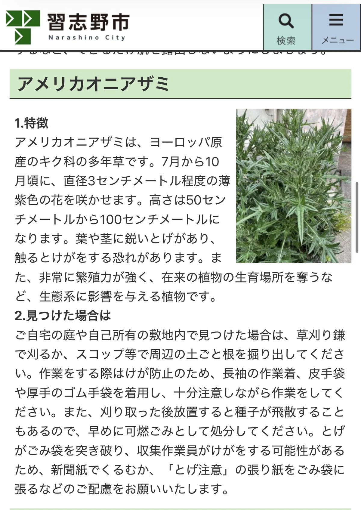 画像
