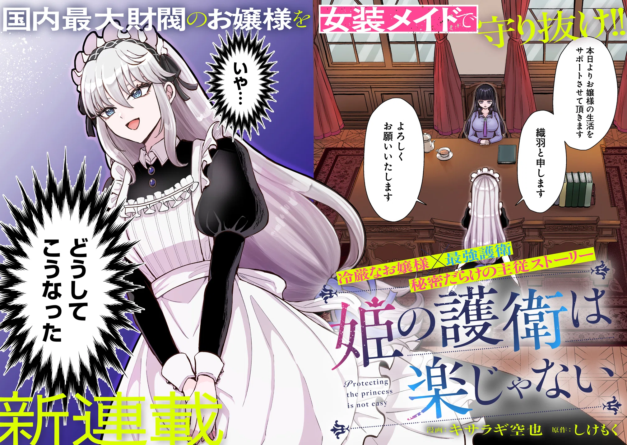 コミカライズ決定！】ネオページ発の人気作『姫の護衛は楽じゃない』が