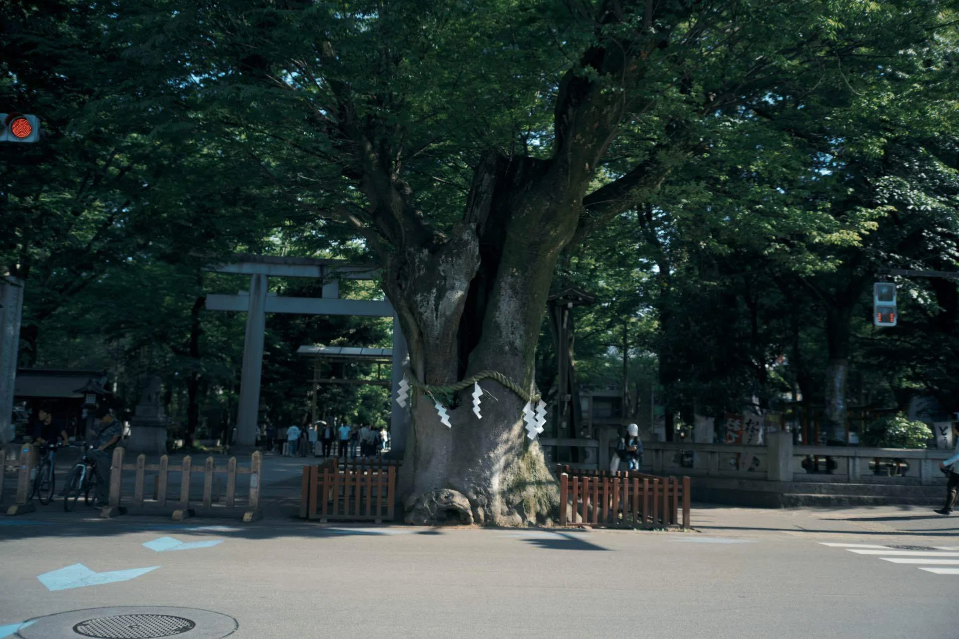 162【LUMIX】 針の上、不安定な横顔（S9 + SG-image AF 35mm F2.2