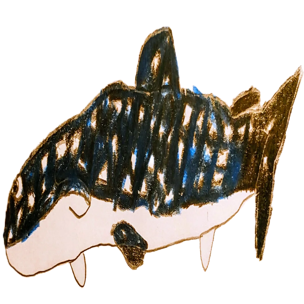Ocean Gallery】No.9 ジンベイザメ｜otomame