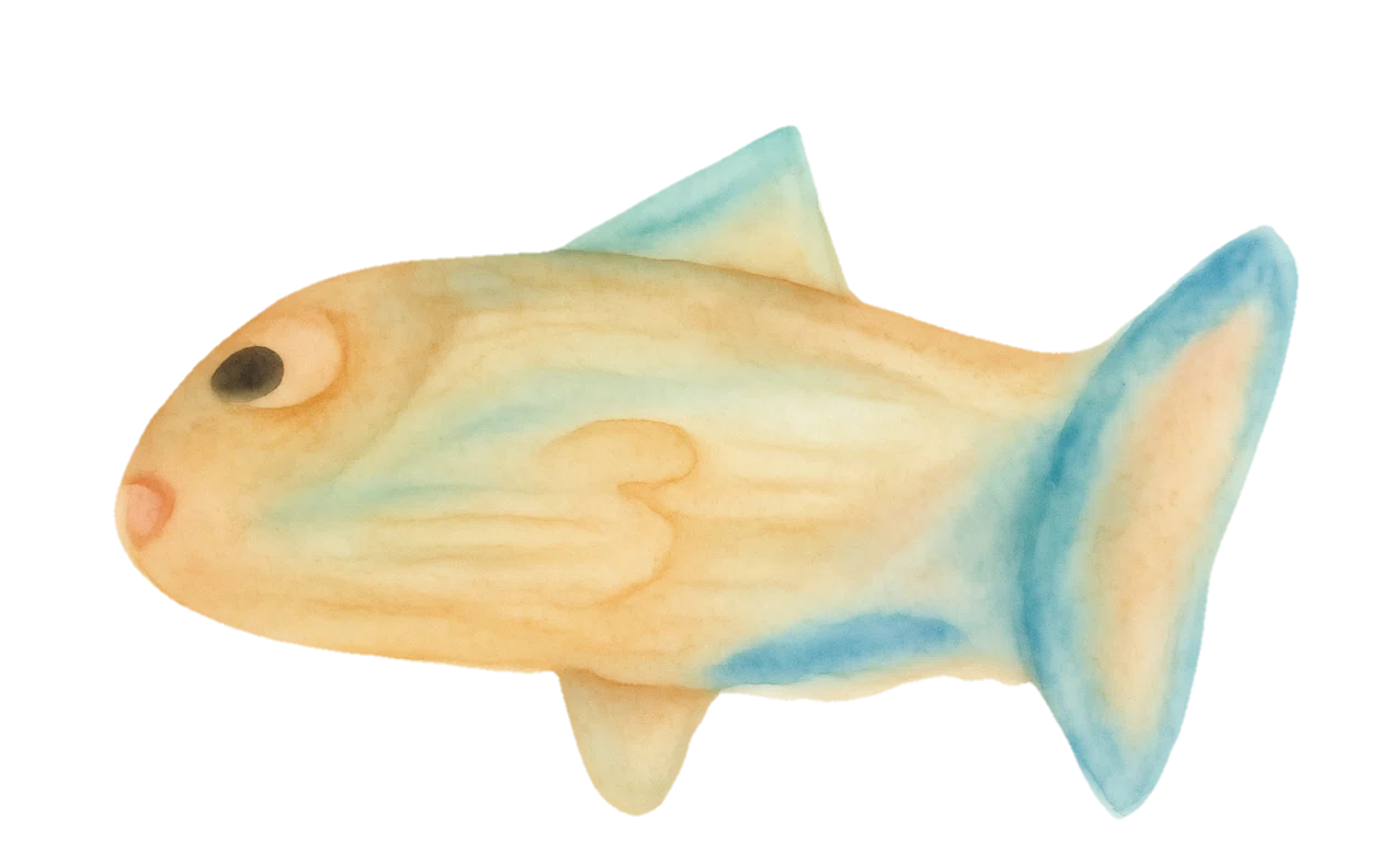 Ocean Gallery】No.11 マンボウ｜otomame