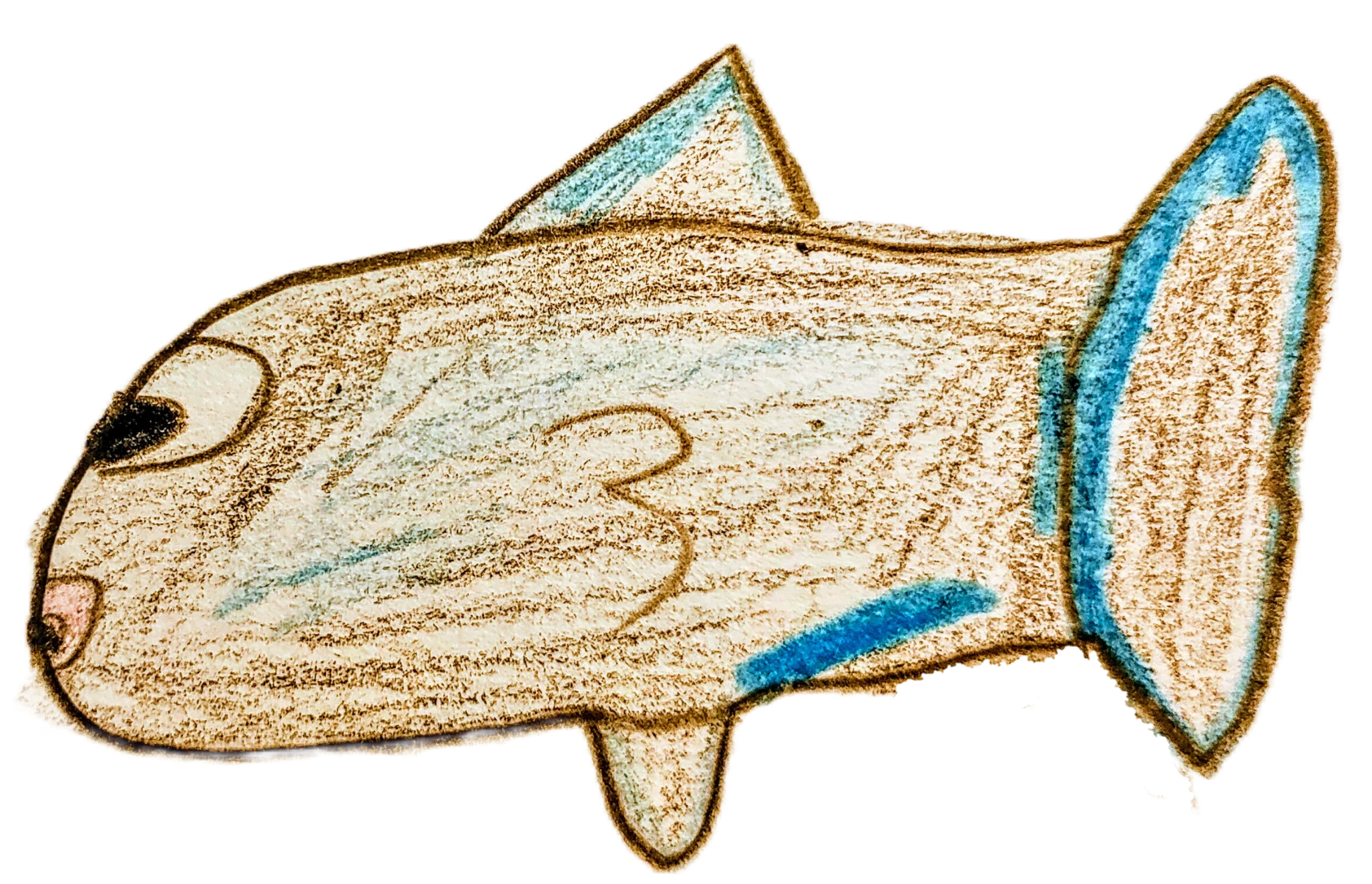 マンボウ　絵画　ドローイング Ocean Gallery】No.11 マンボウ｜otomame