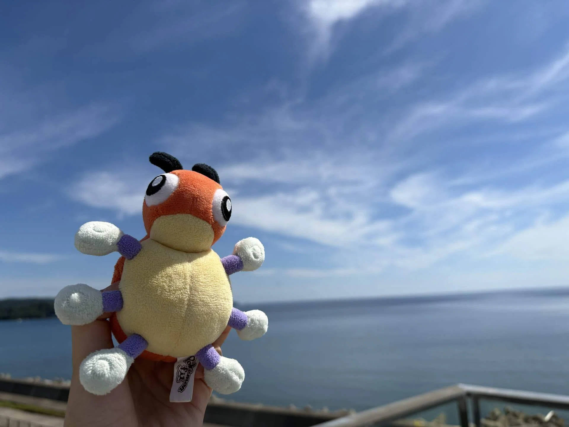 レディバ（ポケモン）の魅力に気づいてくれ🐞｜なべみつ