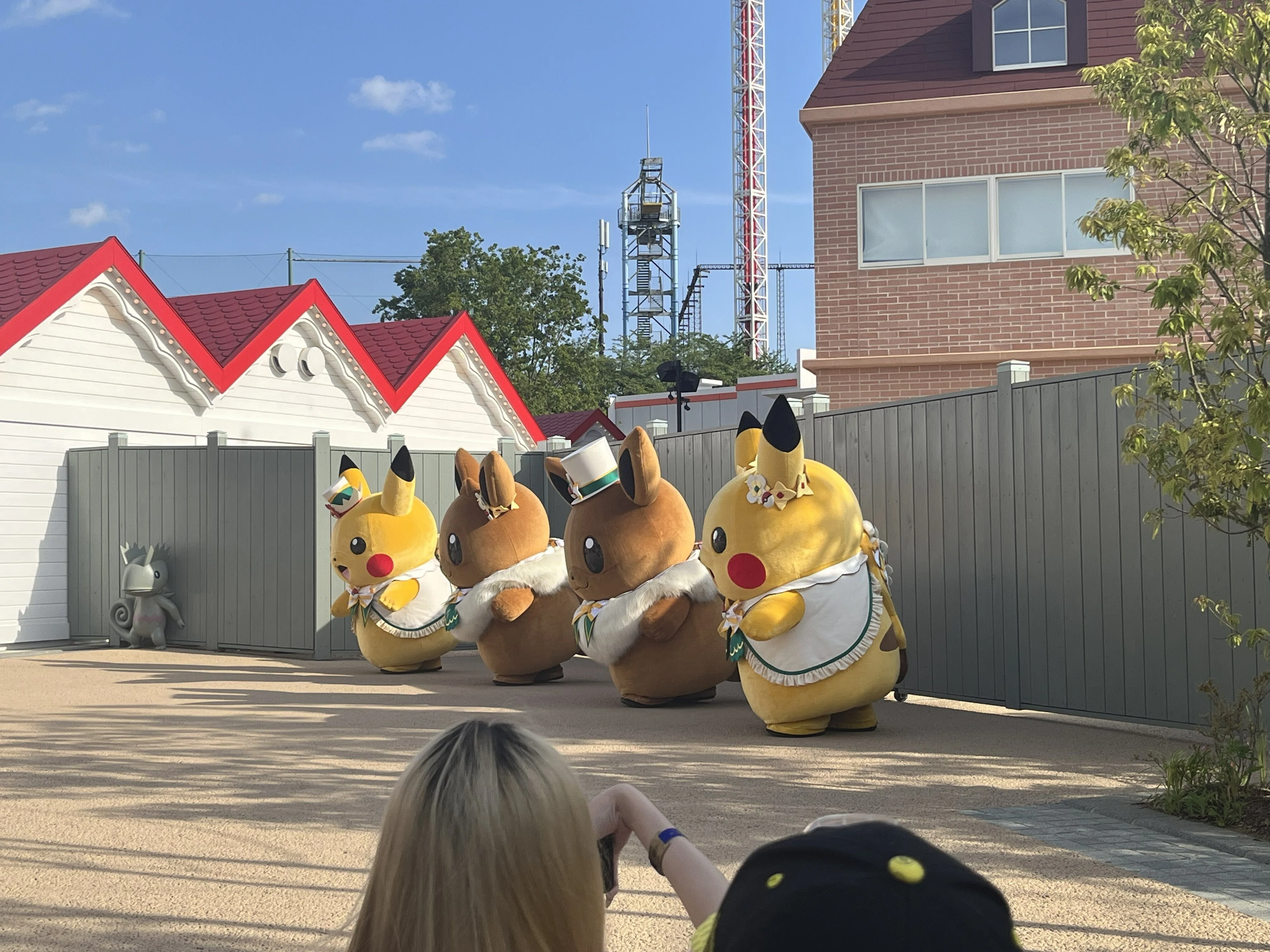 ピカチュウ ライチュウ ポケパークカントー ピンズ 進化ライン
