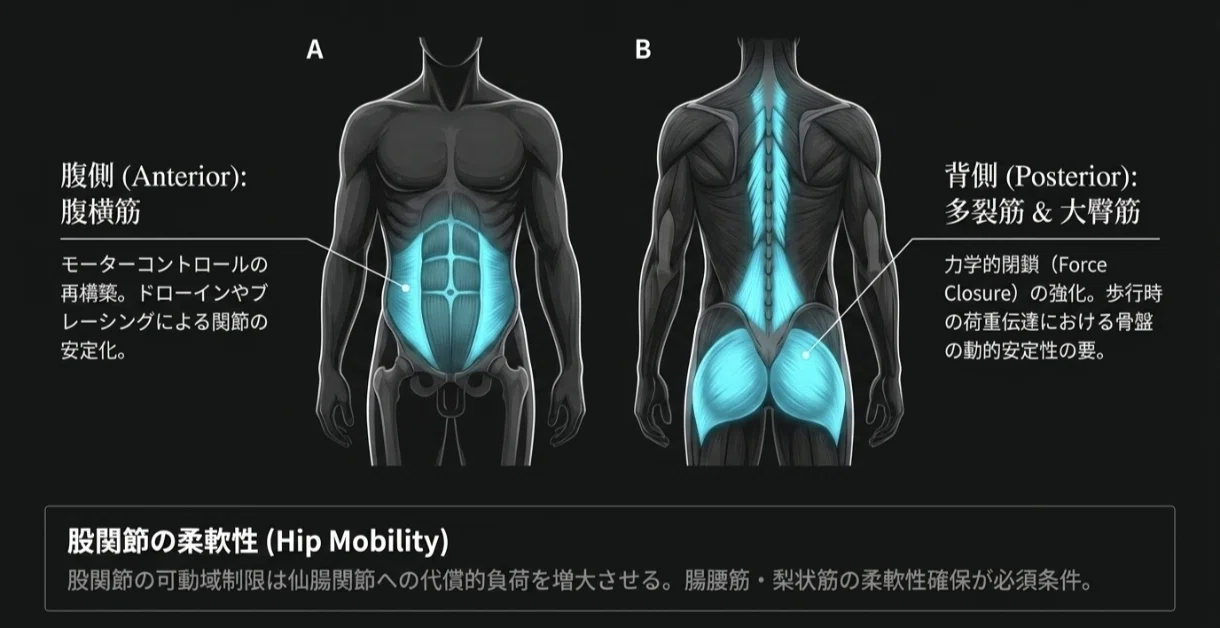 セラピスト必見】仙腸関節痛の真実：最新研究が解き明かす「動く