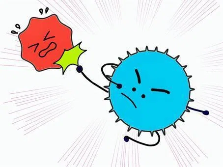 画像