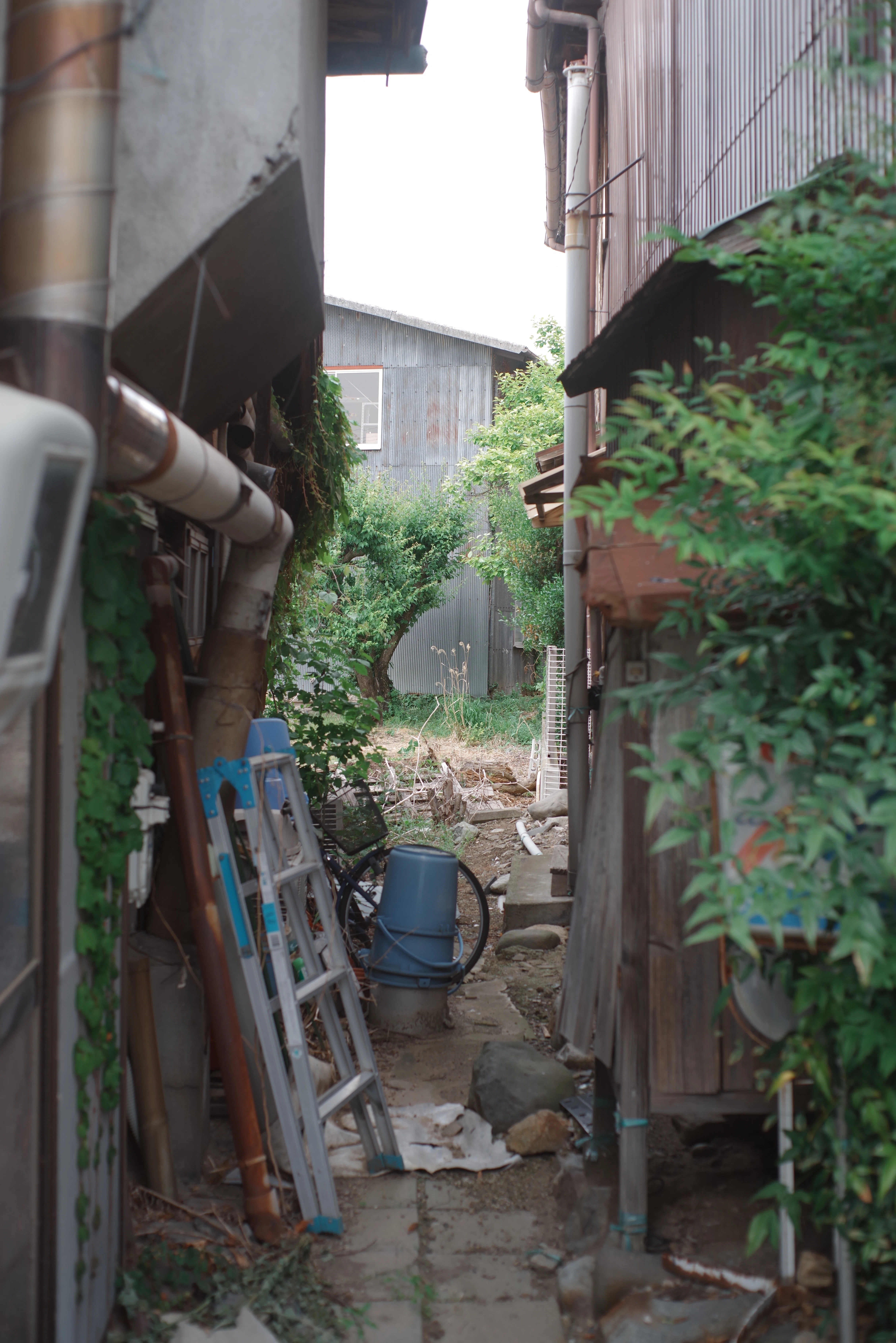 8年ぶりの一眼レフ｜モーリャ
