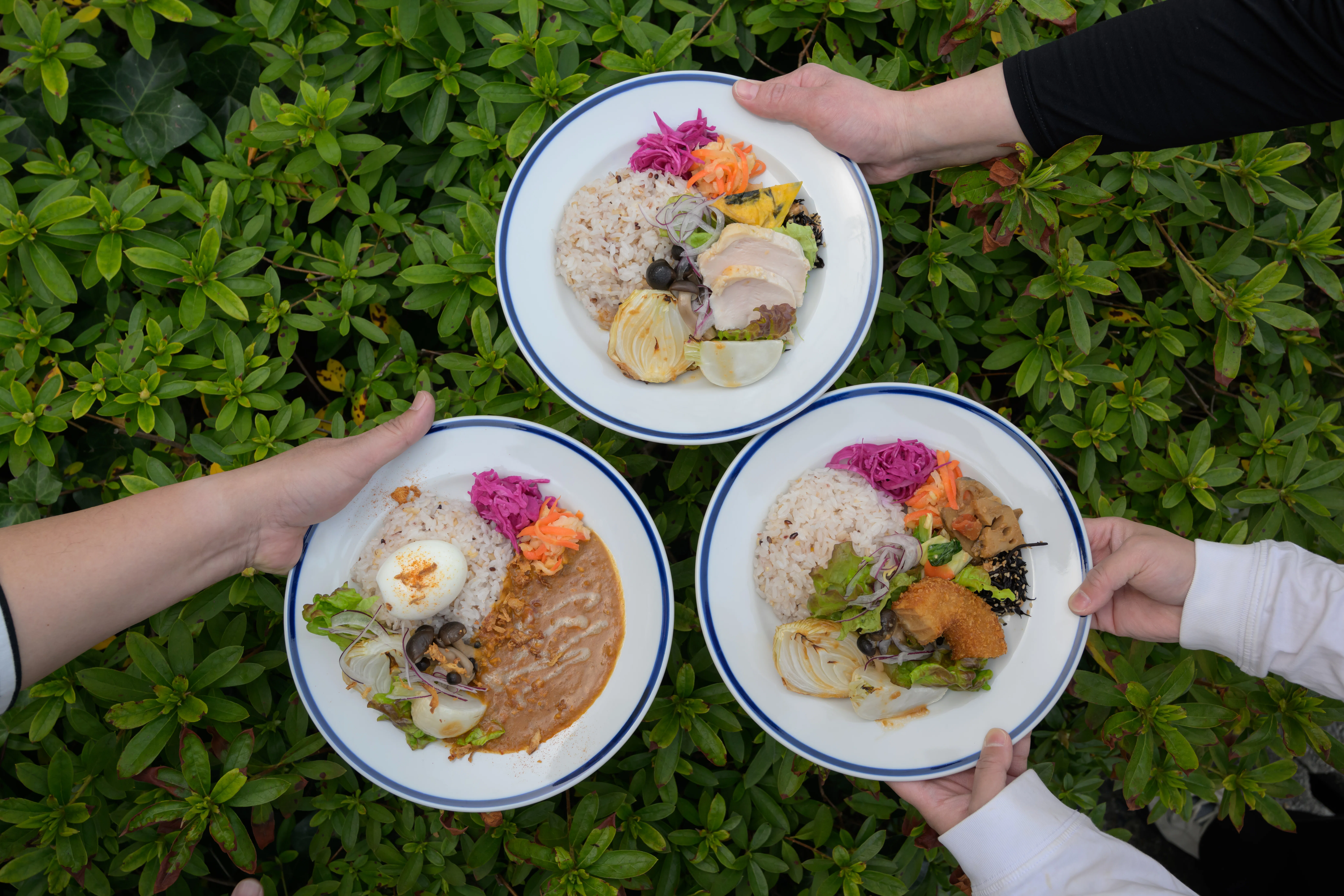 食事 地域の食で、働くを整える。 SUZUWEILLのプレートメニューをご紹介し
