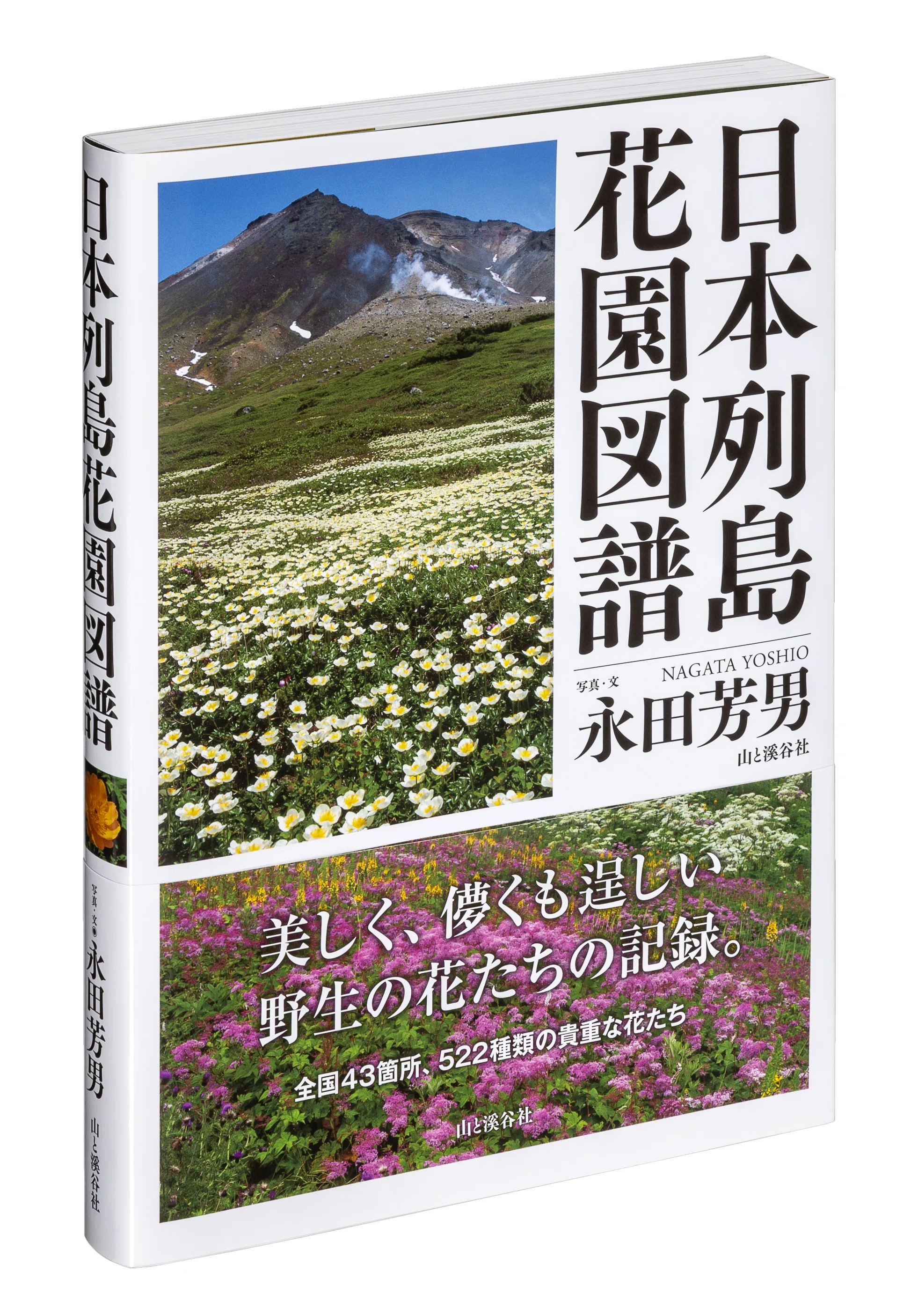 日本列島花園図譜』刊行記念永田芳男さんインタビュー（月刊『山と溪谷