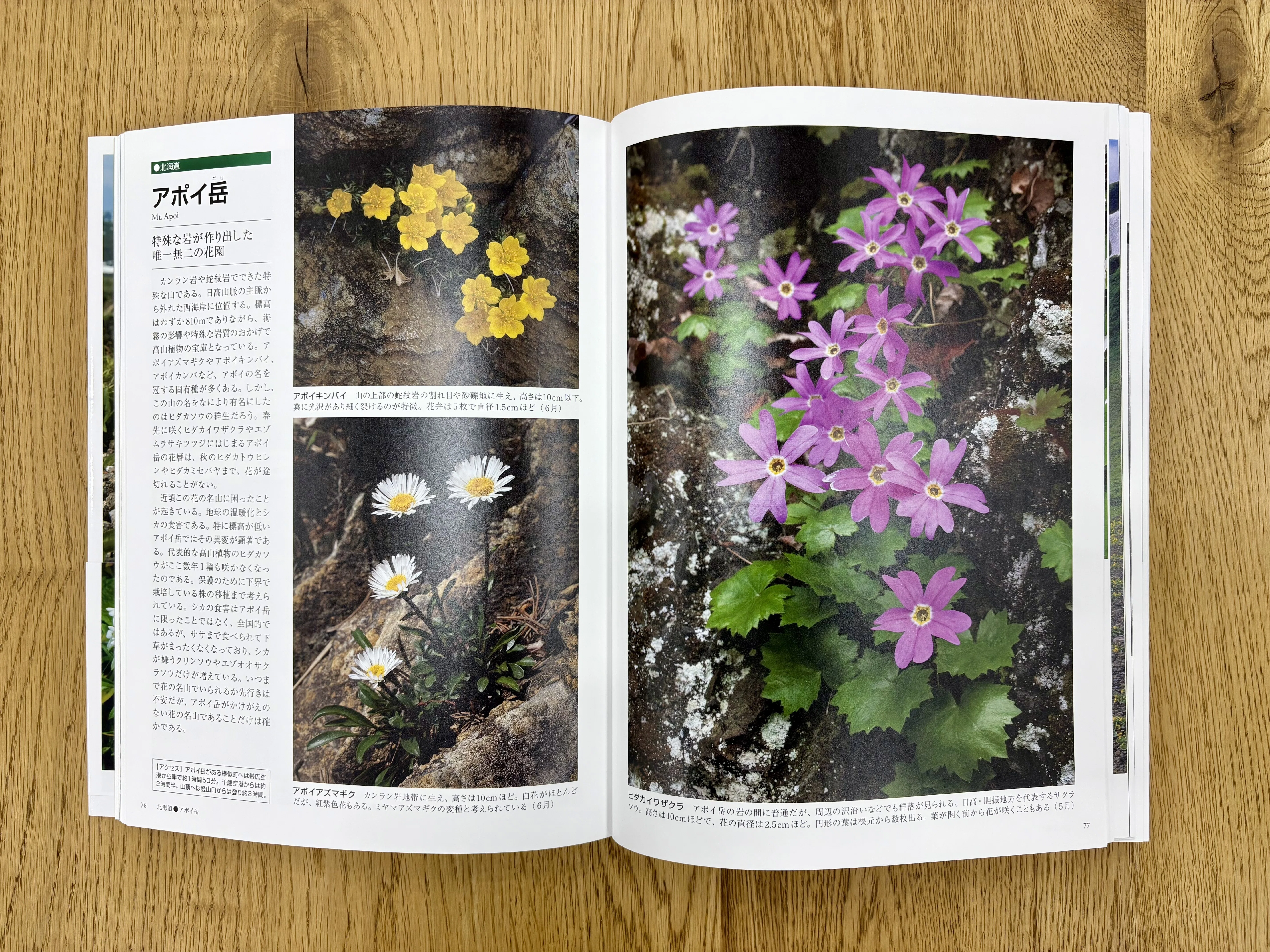 日本列島花園図譜』刊行記念永田芳男さんインタビュー（月刊『山と溪谷