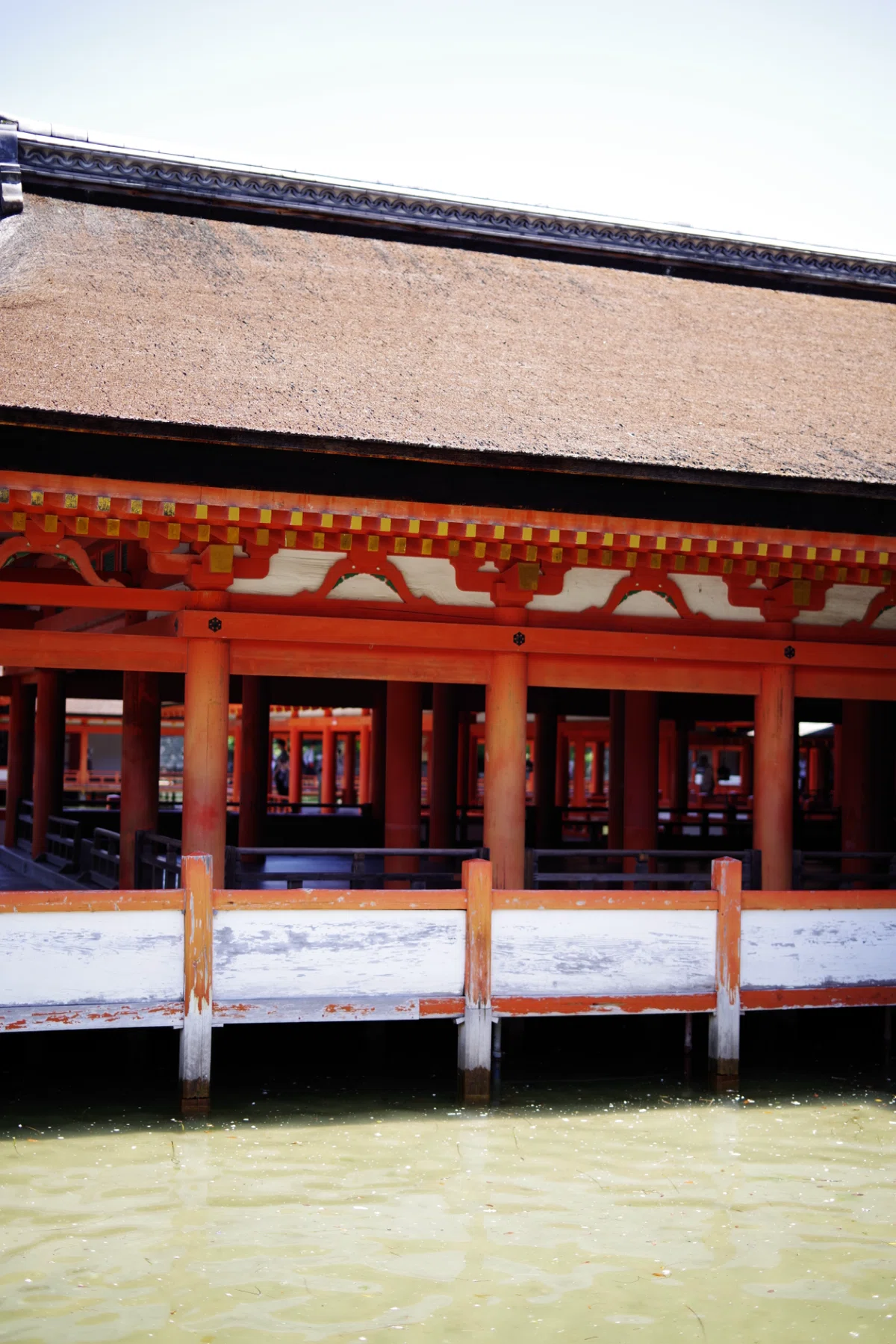 厳島神社と写真と私｜Aki Yamaki