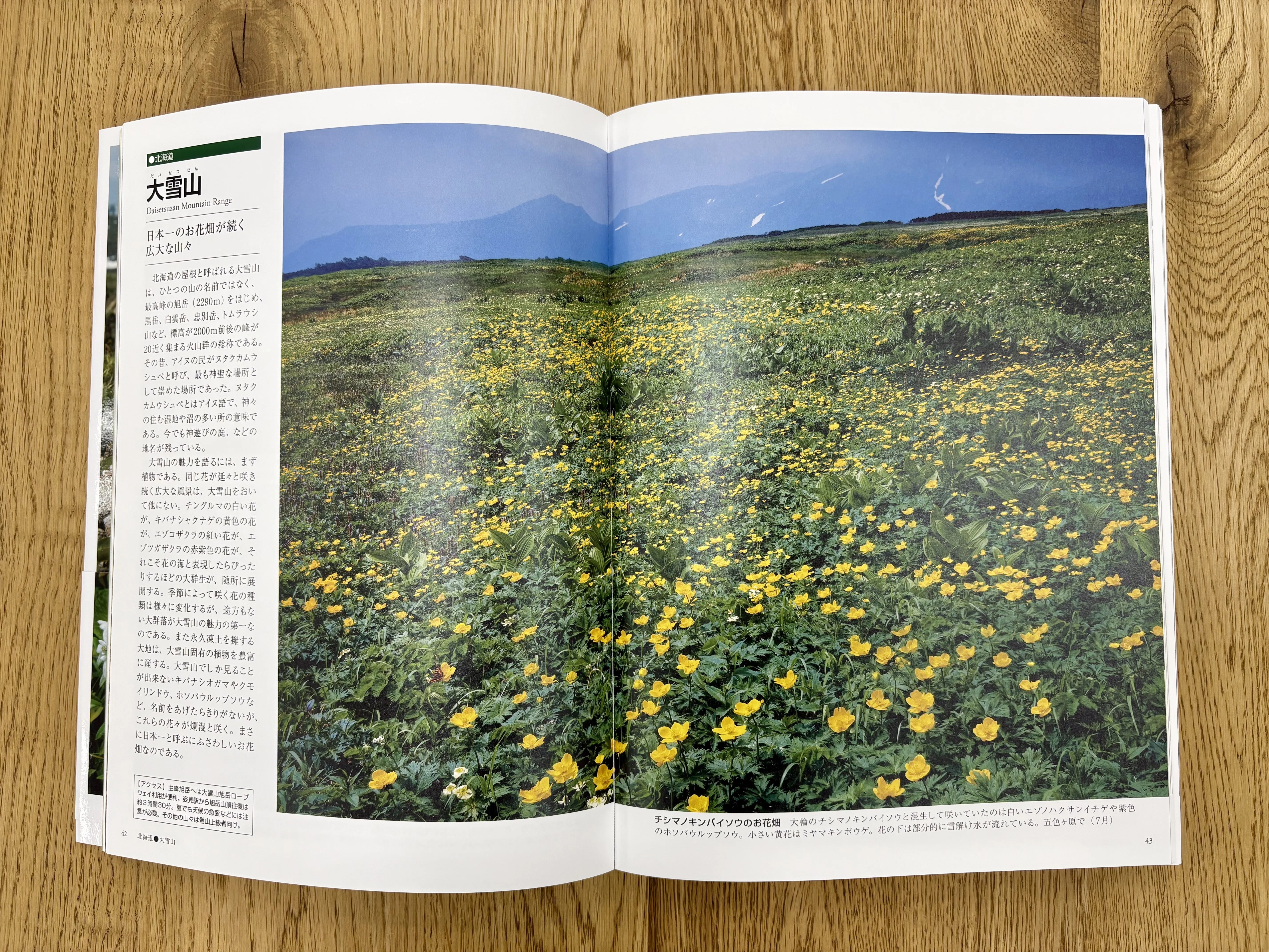 日本列島花園図譜』刊行記念永田芳男さんインタビュー（月刊『山と溪谷