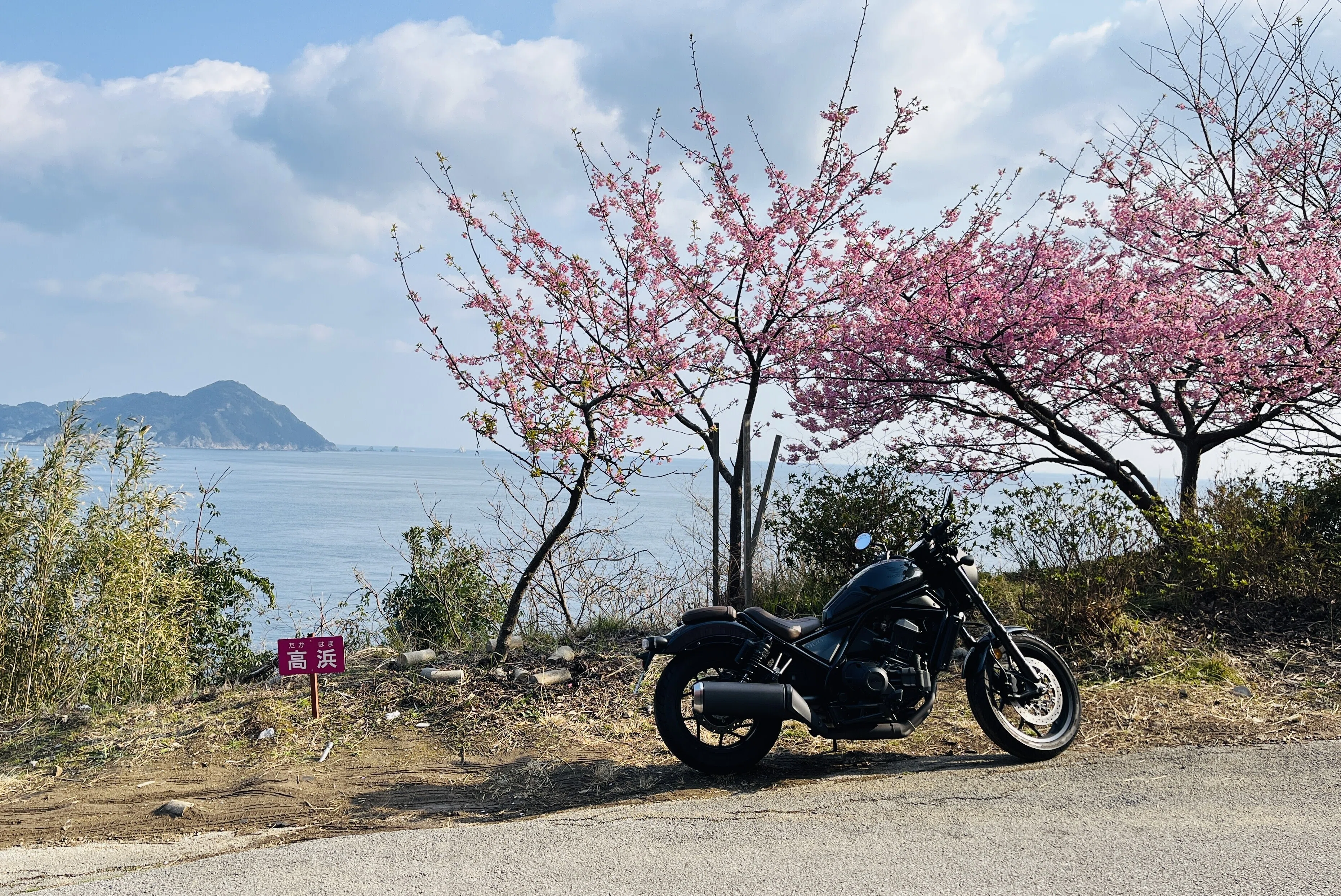 走り去った時間と珈琲の香りと 「河津桜とエチオピア」｜大分市