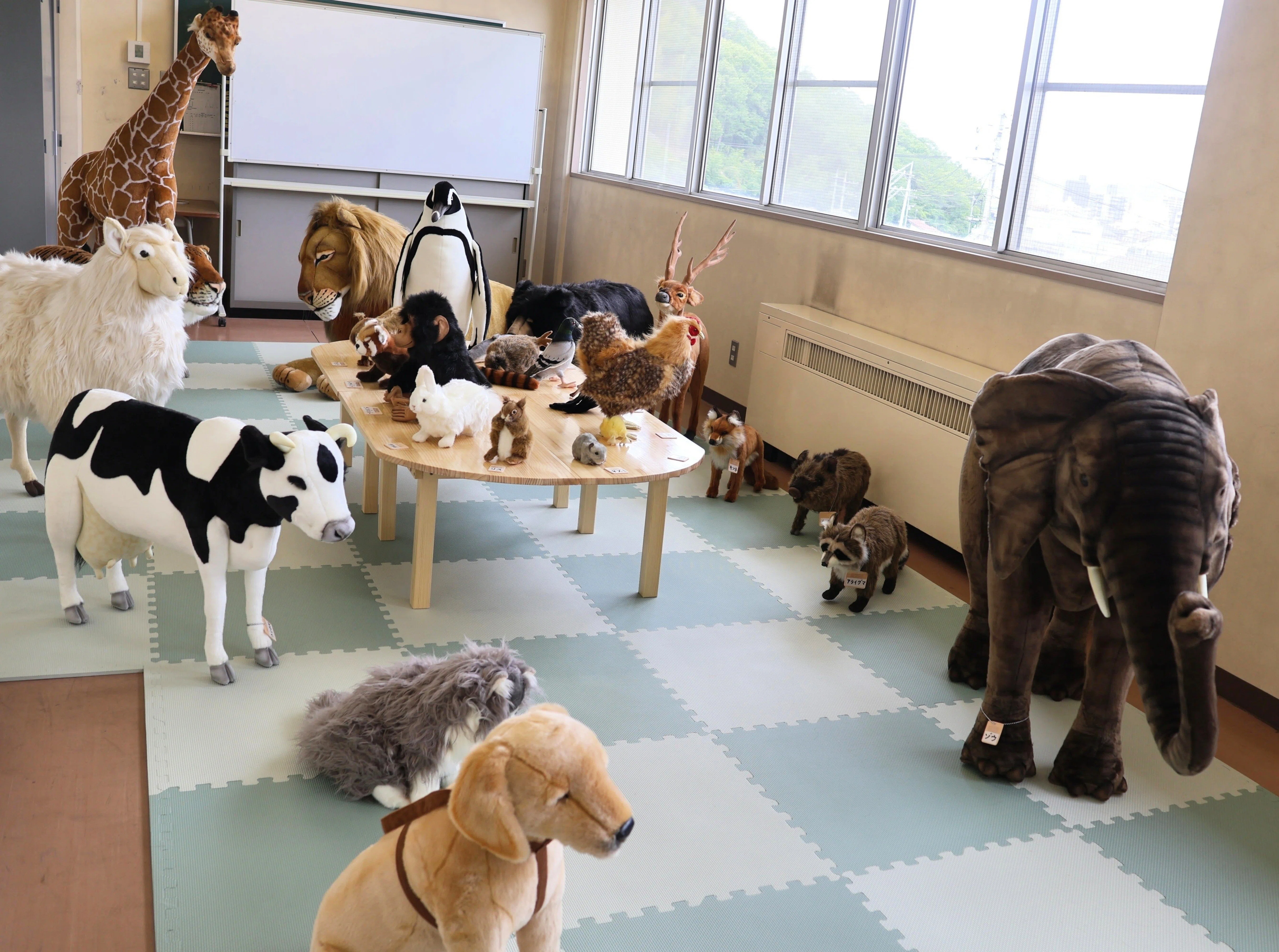岡山盲学校に「さわれるどうぶつえん」が開園しました！🐘🦒🐈｜岡山県