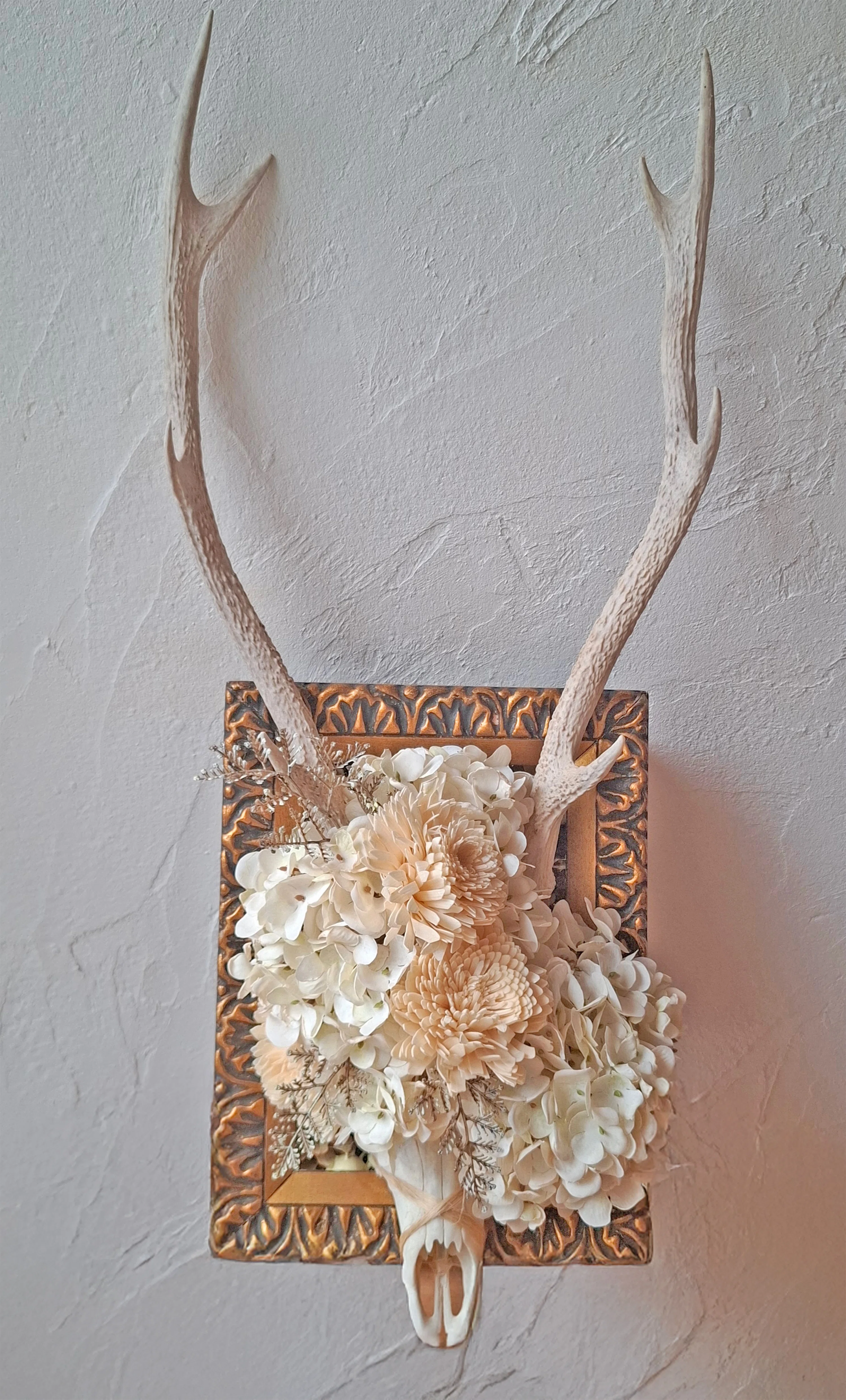 Encountering a Deer Skull on the Sacred Island of Kinkasan｜Yuko
