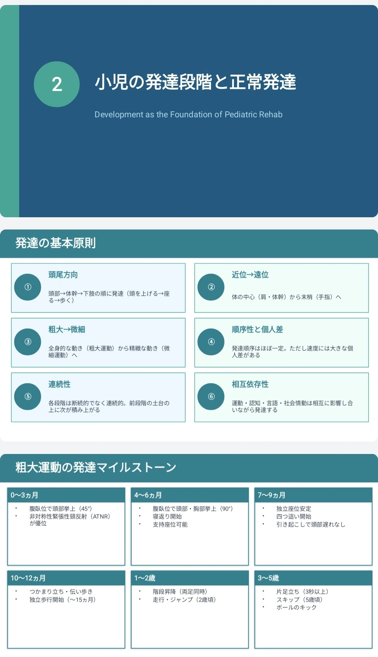小児リハ】PT・OT・STがこれ一冊で整理できる―発達から疾患・家族支援