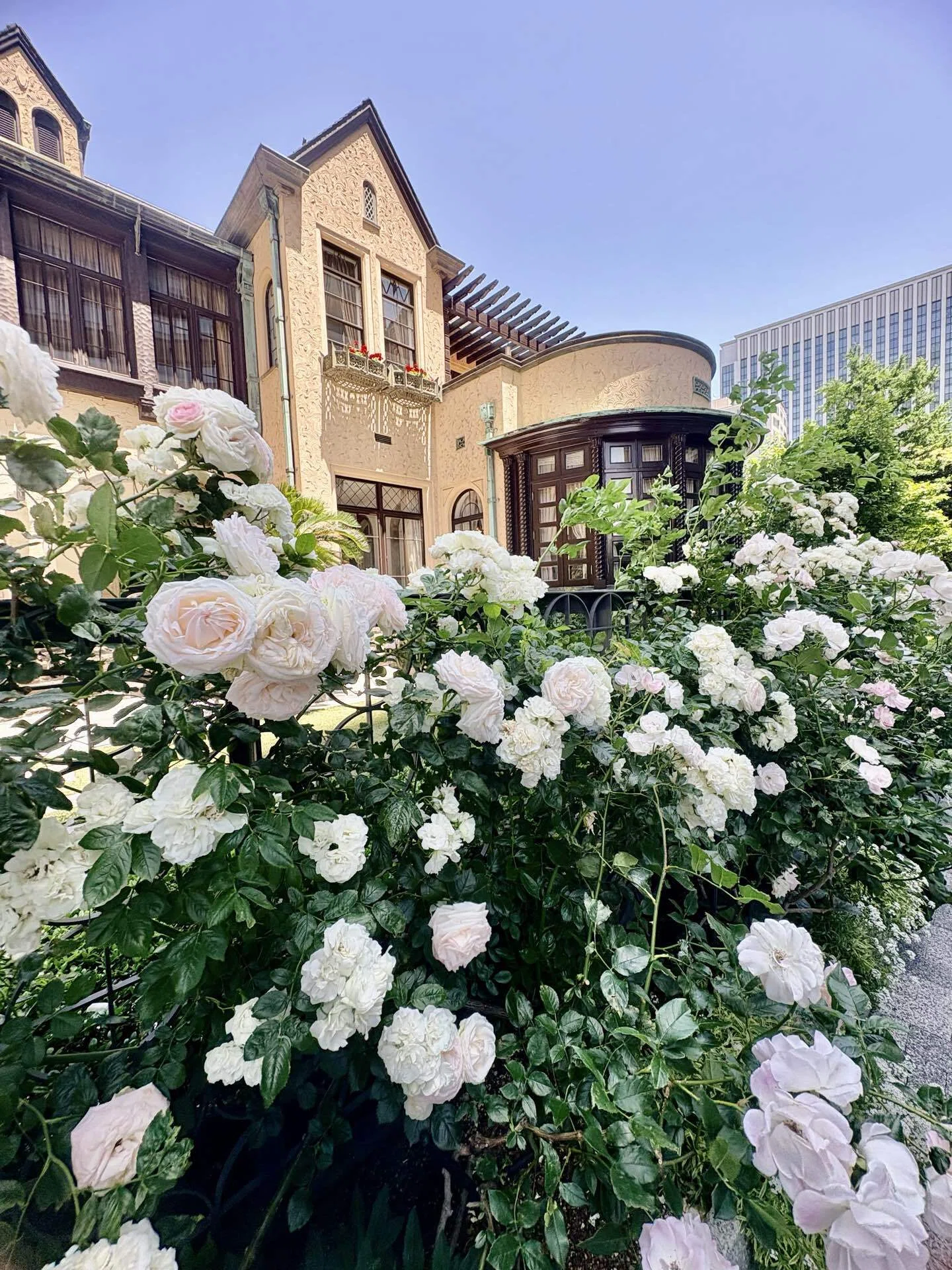 KIOI ROSE GARDEN at赤坂プリンスクラシックハウス~東京ガーデンテラス