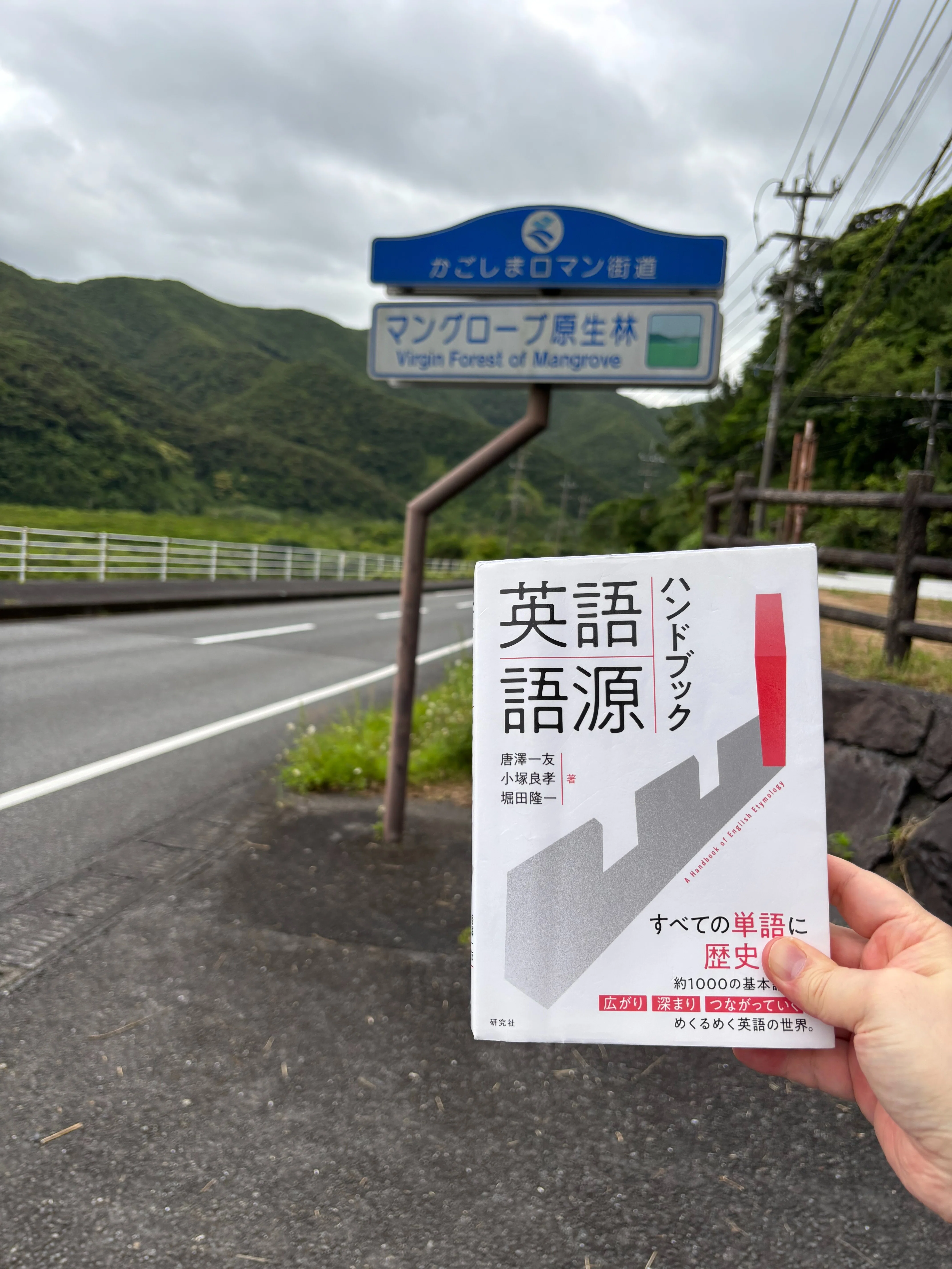 【中古】 旅行英語 English for Tourism Professionals - センゲージ ラーニング株式会社