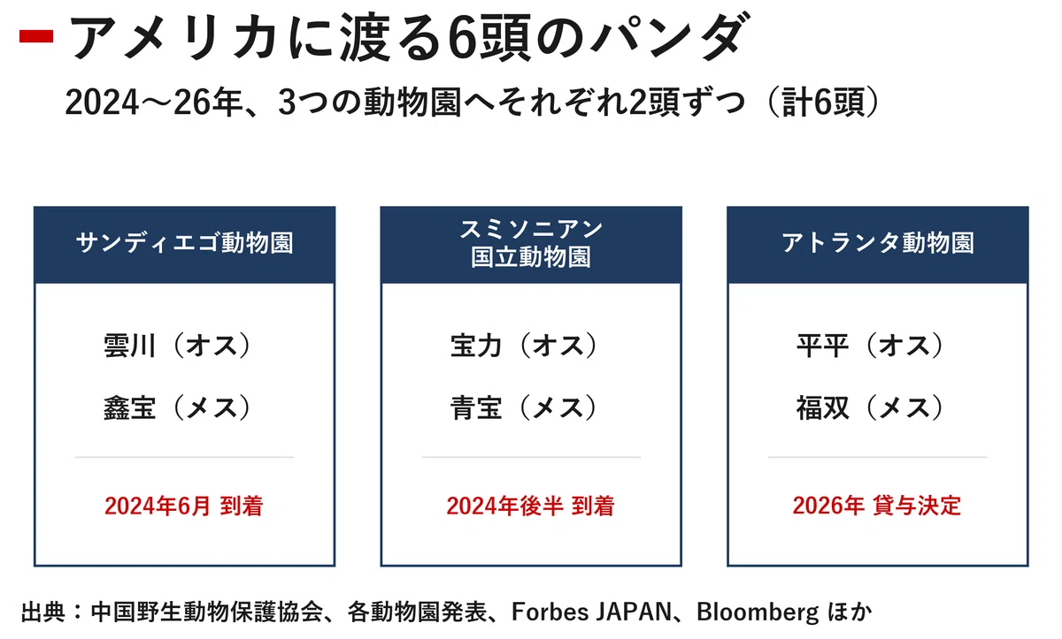 アメリカに6頭、日本にゼロ パンダが映し出す2026年の米中接近と日中の