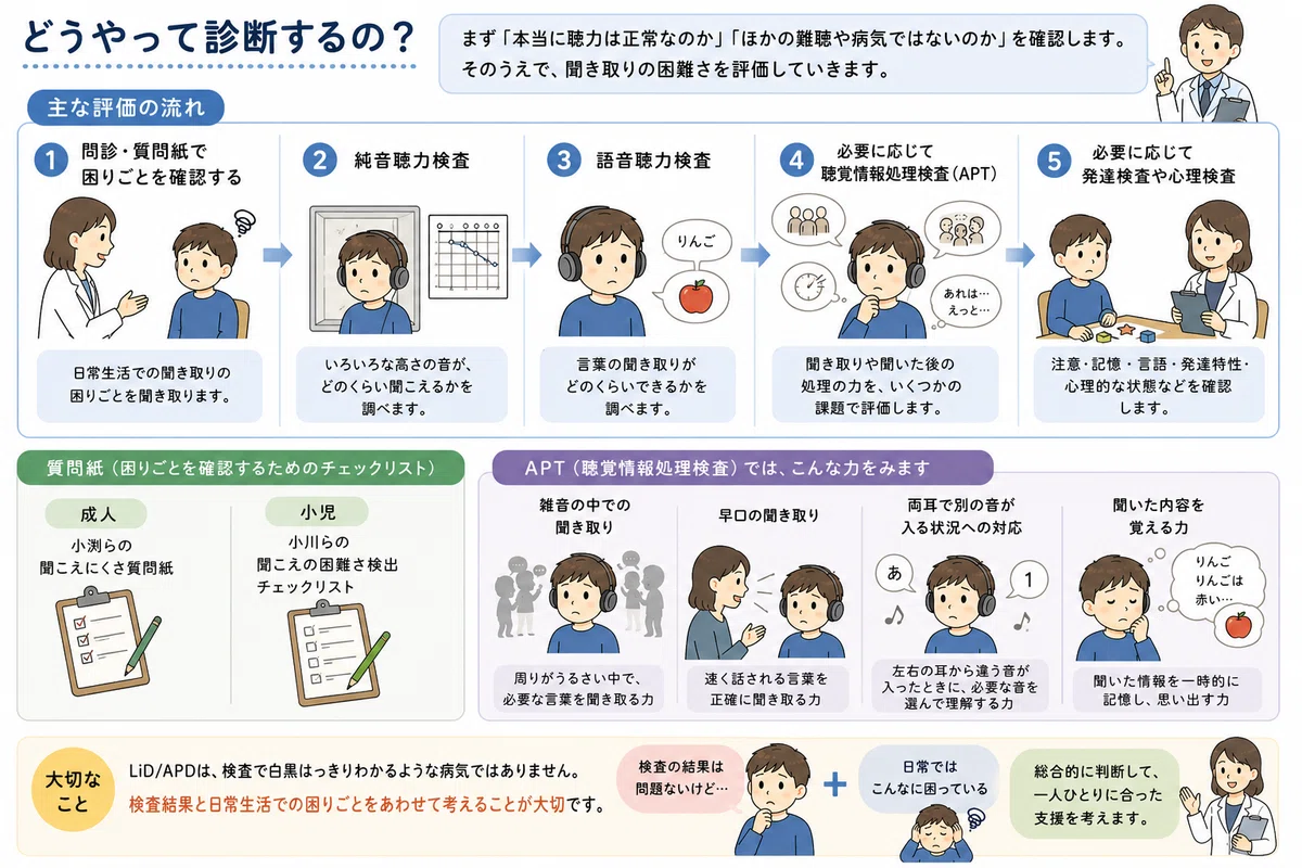 聞こえているのに聞き取れない？ 聴覚情報処理障害／聞き取り困難症