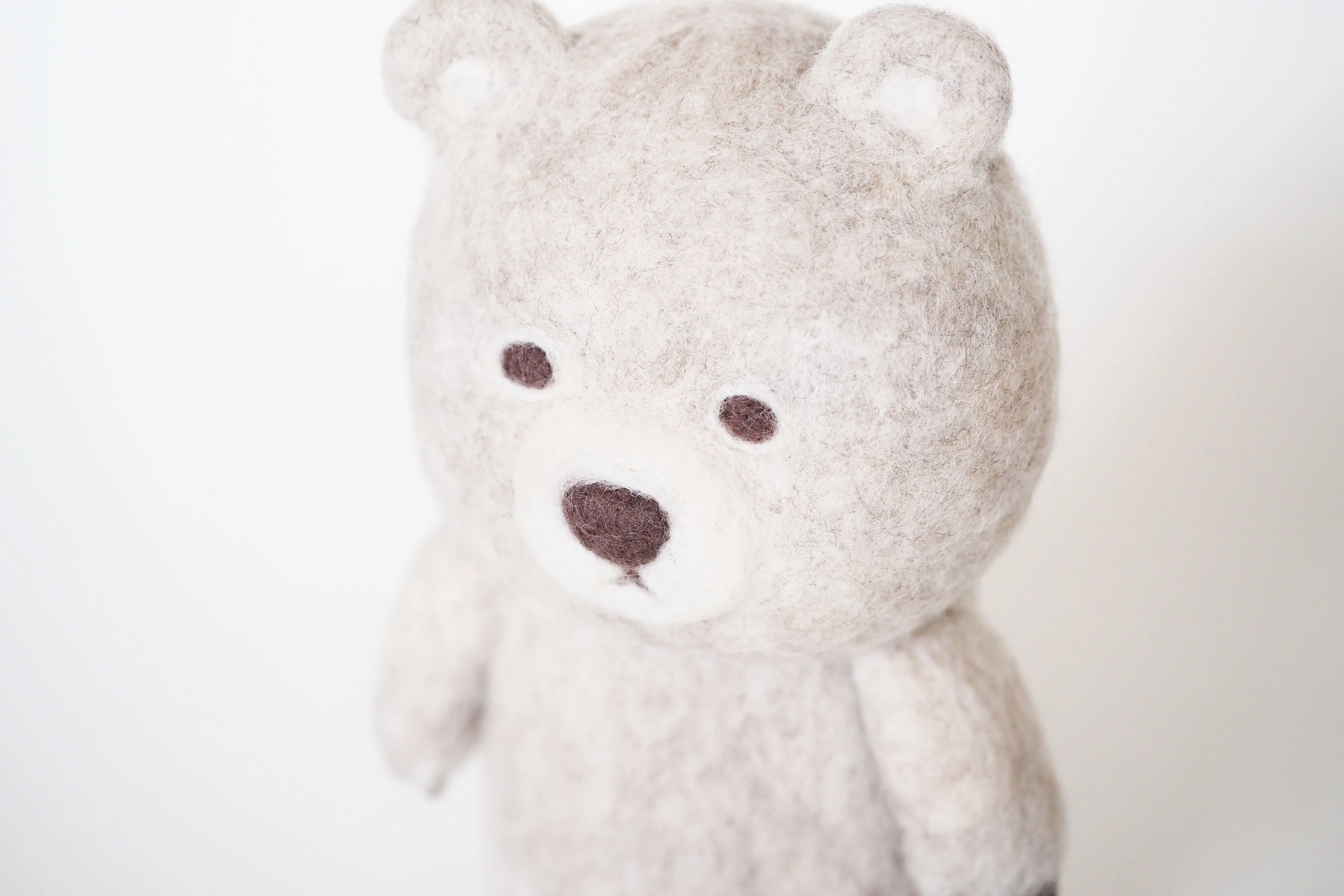 Latte｜SLEEPY SHEEP