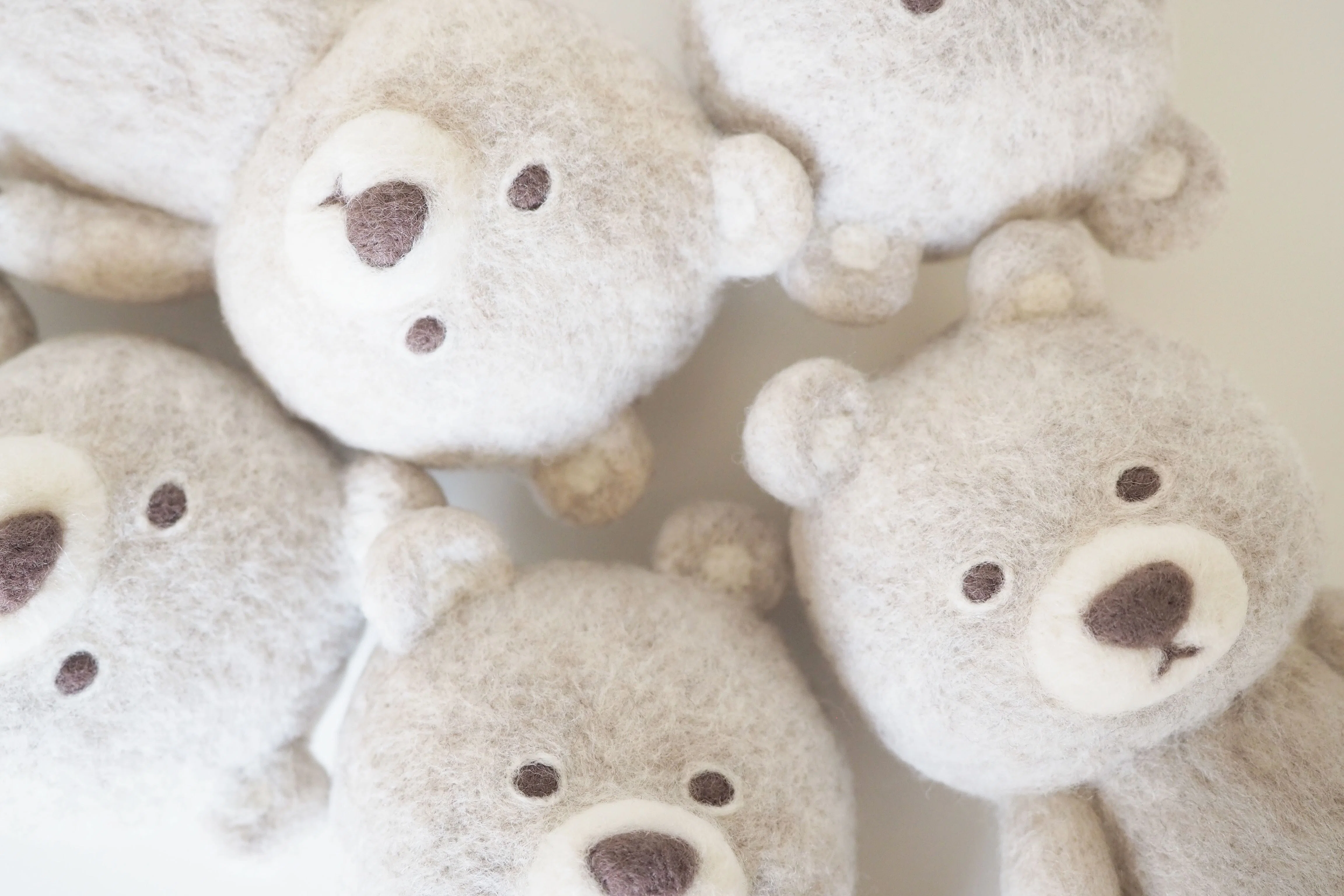 Latte｜SLEEPY SHEEP
