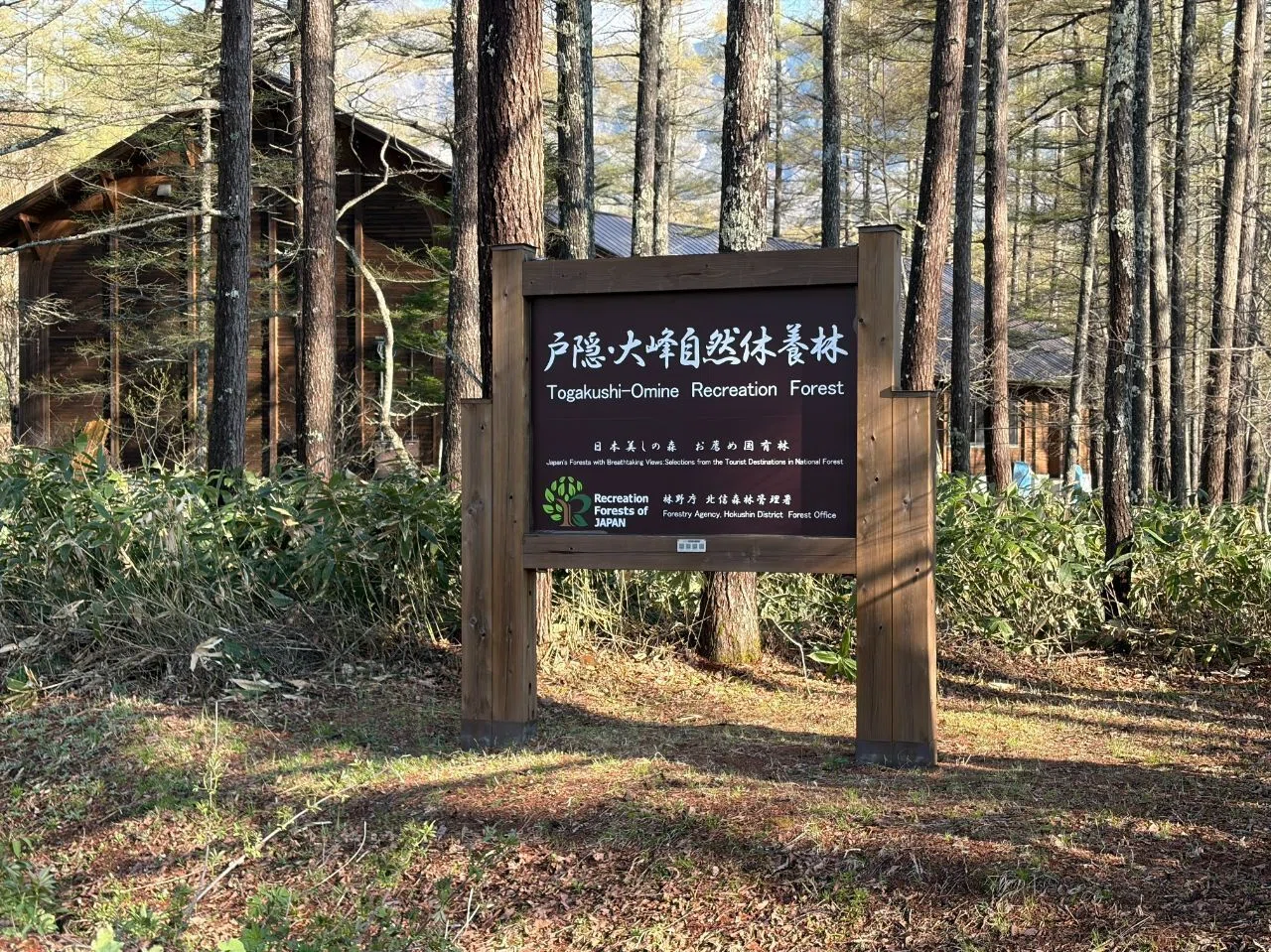 長野・戸隠旅行｜五社めぐりで運をつかんだらアイスと日本酒が待って