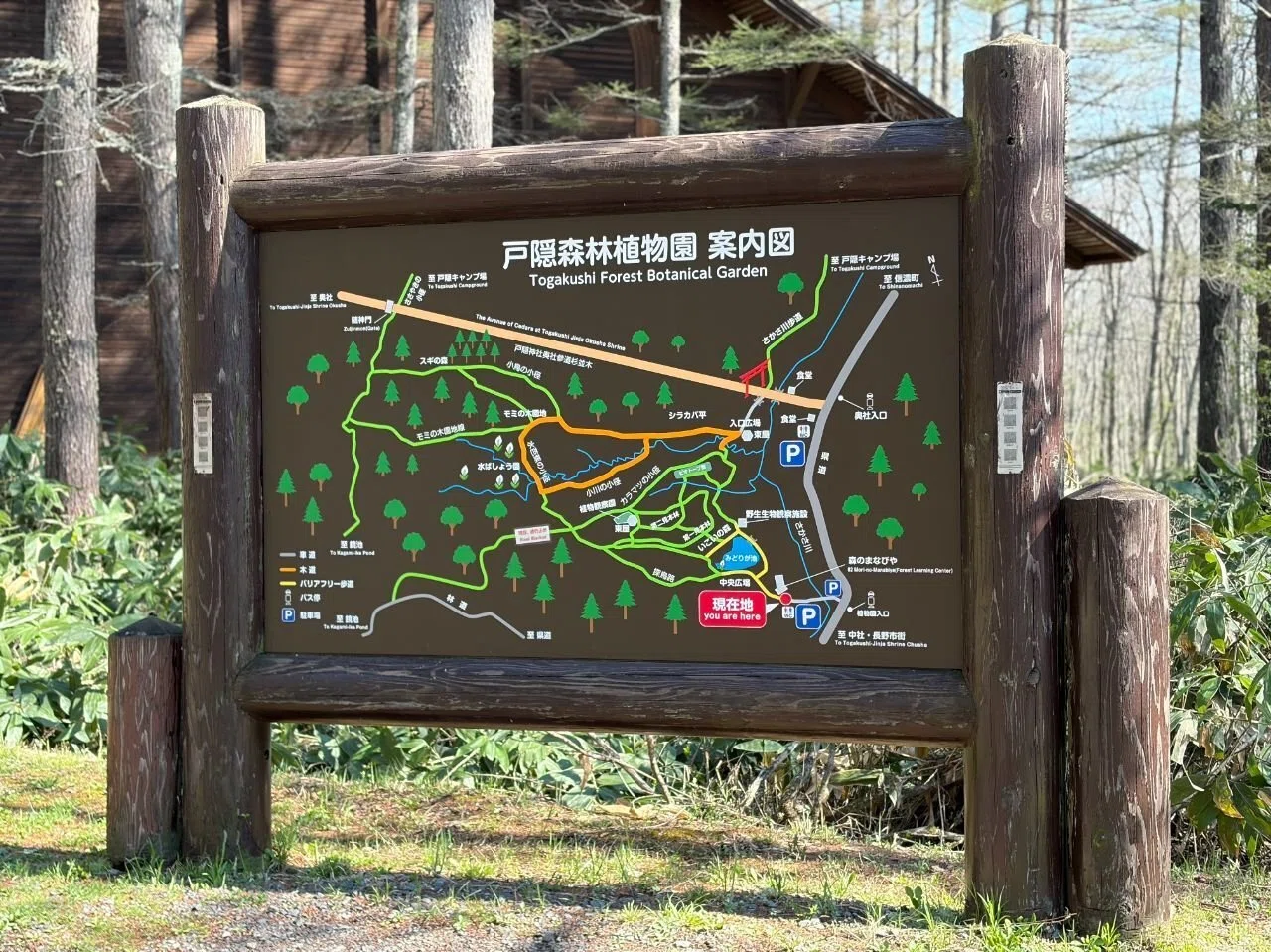長野・戸隠旅行｜五社めぐりで運をつかんだらアイスと日本酒が待って